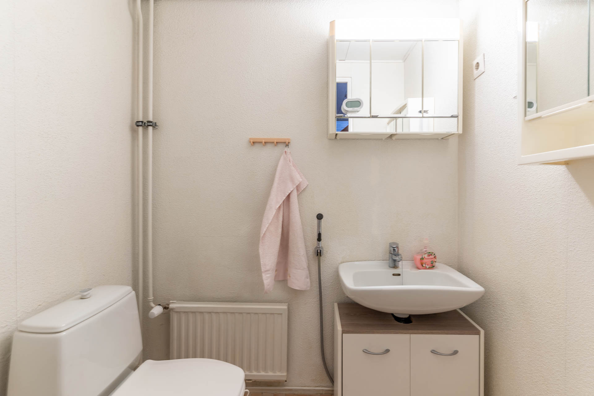 Alakerran erillinen wc