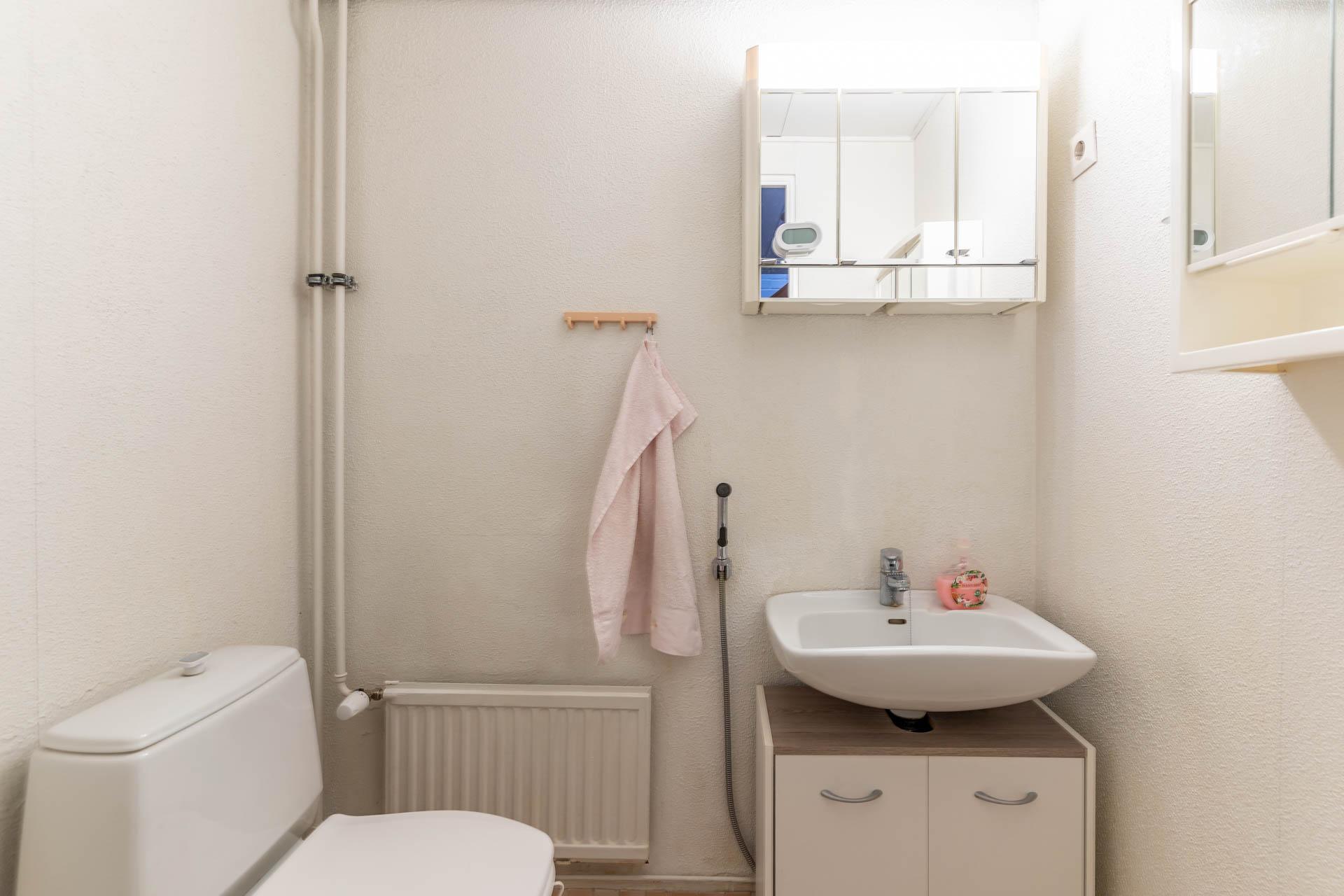 Alakerran erillinen wc