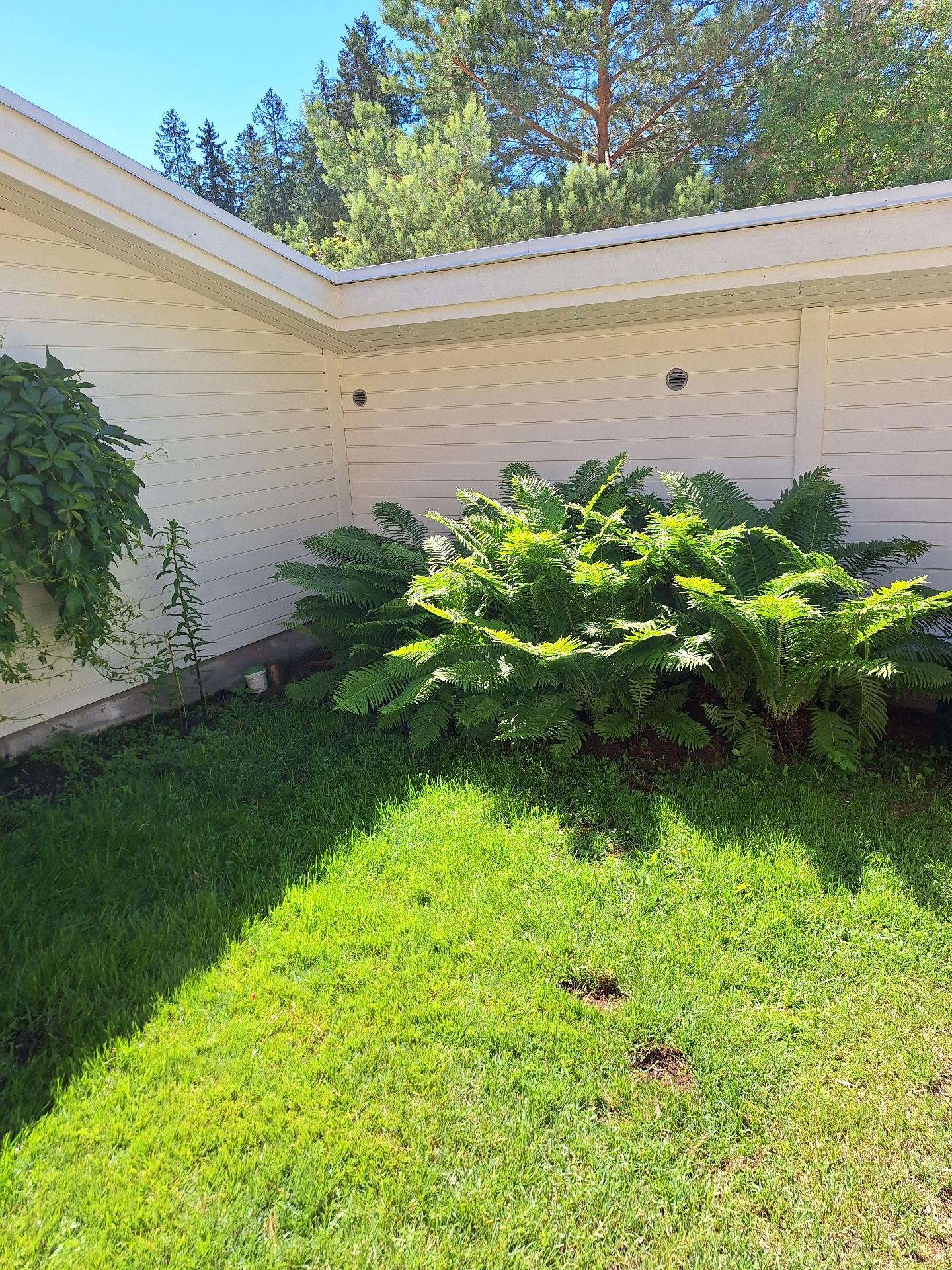 Kuismakuja 1, Pukinmäki, Helsinki