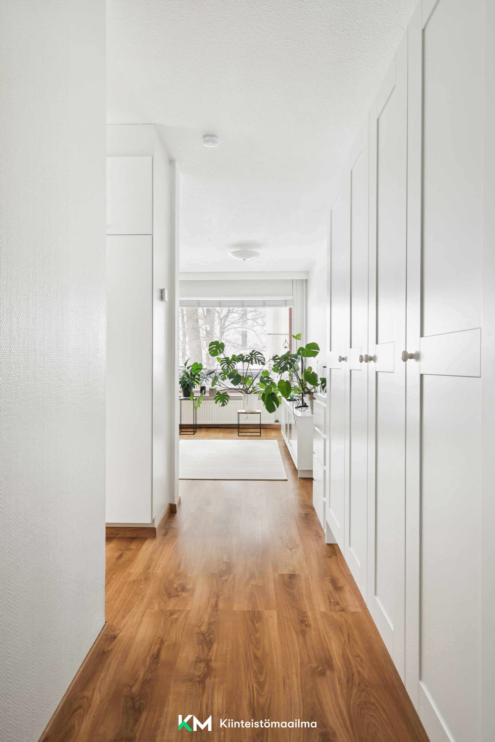 Ryytikuja 5, Yliskylä, Helsinki