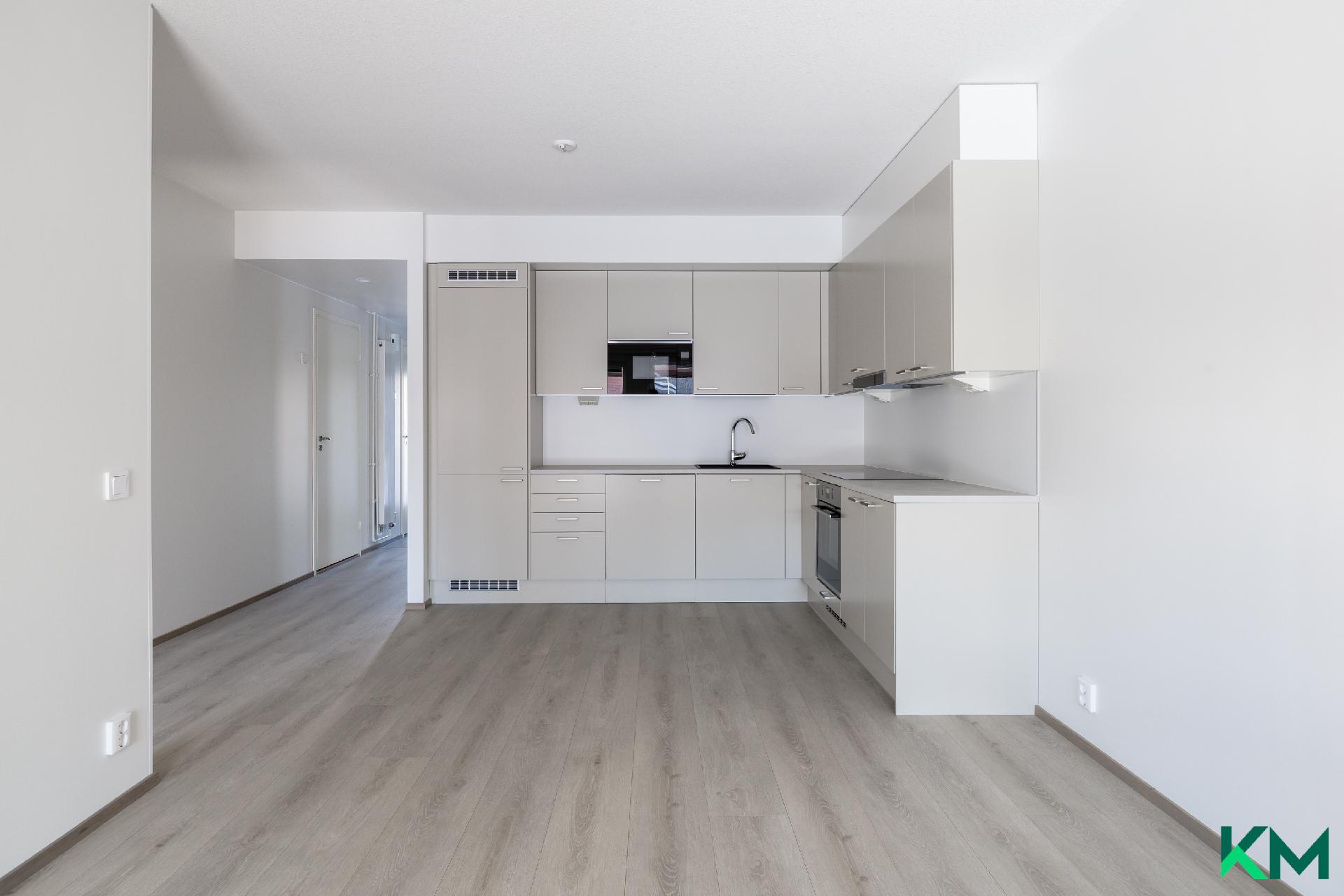 Olohuone, ruokatila ja keittiö