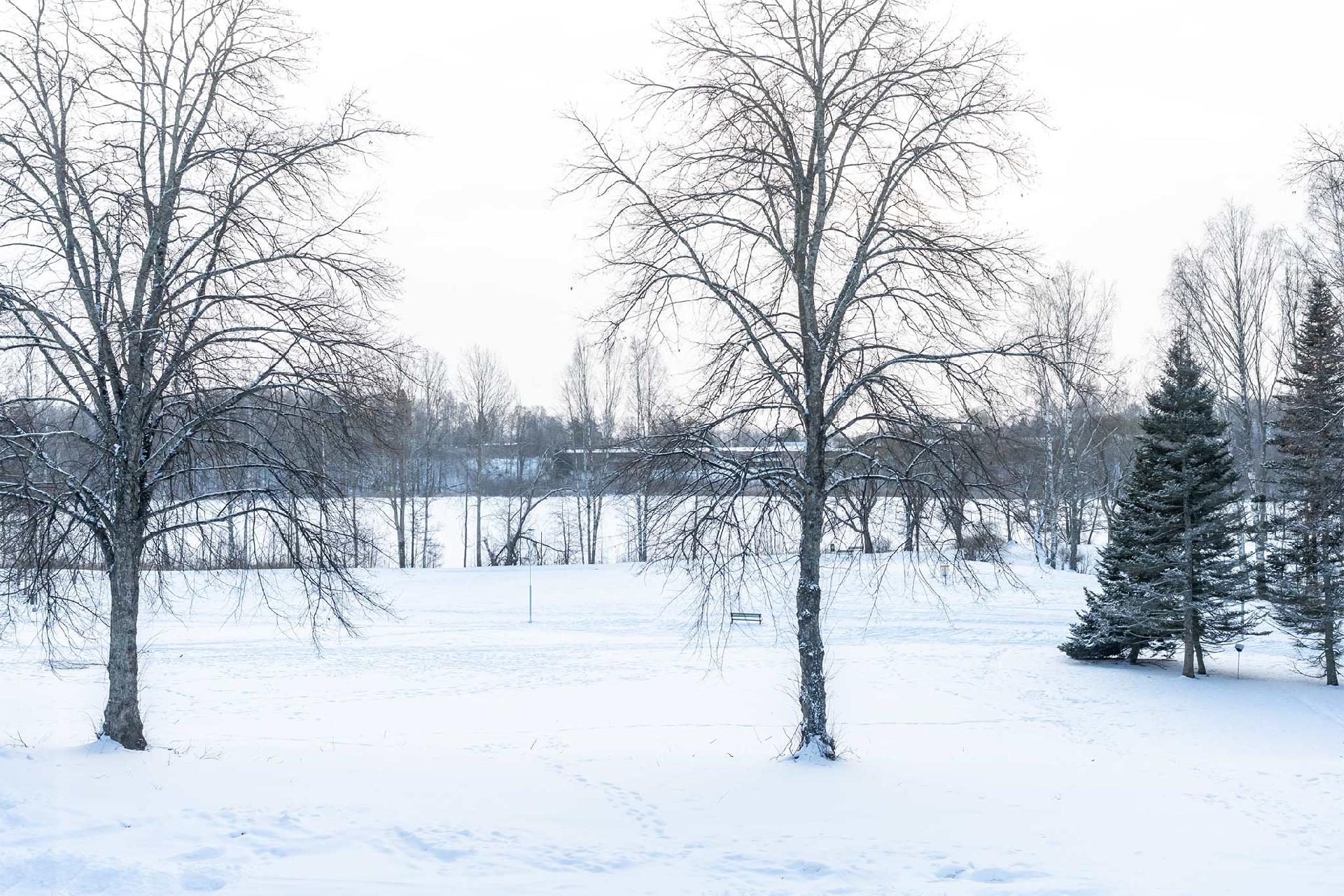 Vallerinkatu 25, Epilä, Tampere