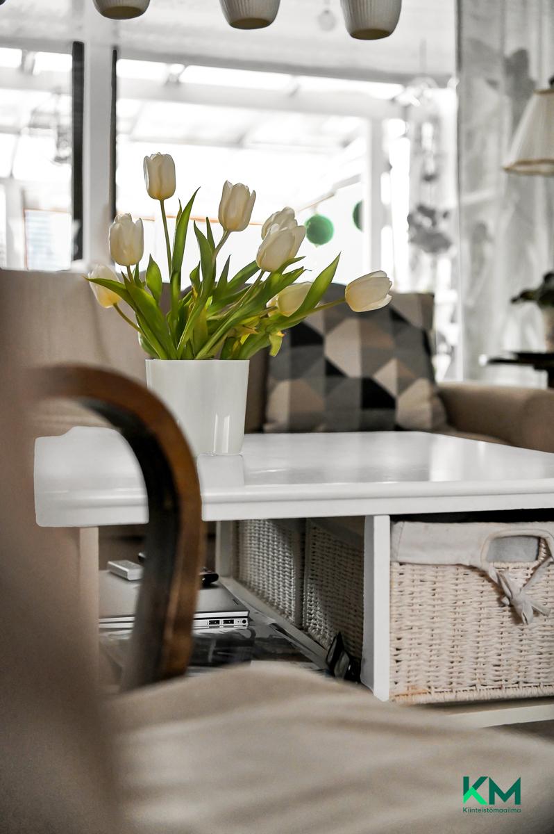 Båssantie 14, Tammisaari, Raasepori