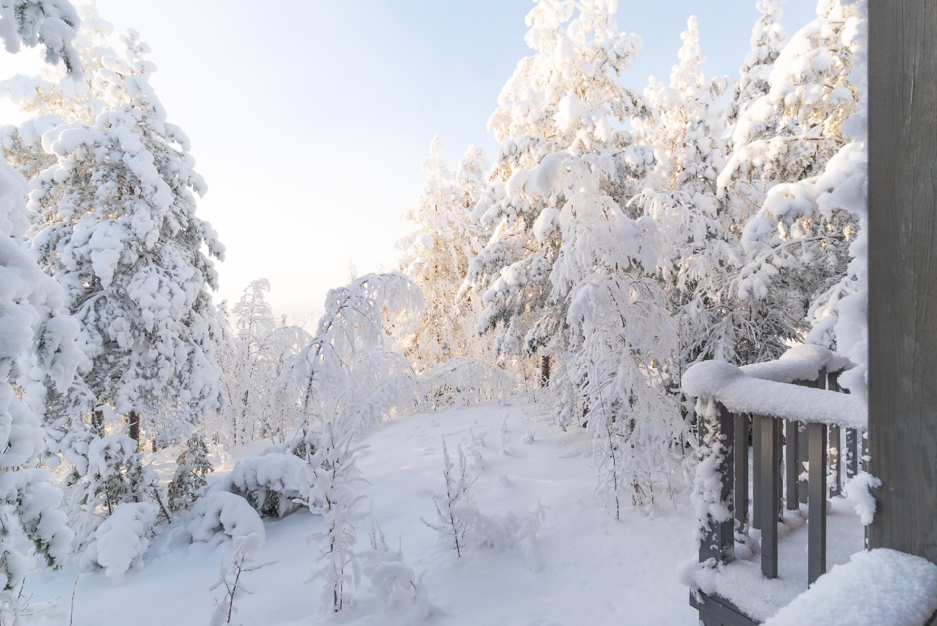 Länsihuipuntie 45, Himos, Jämsä