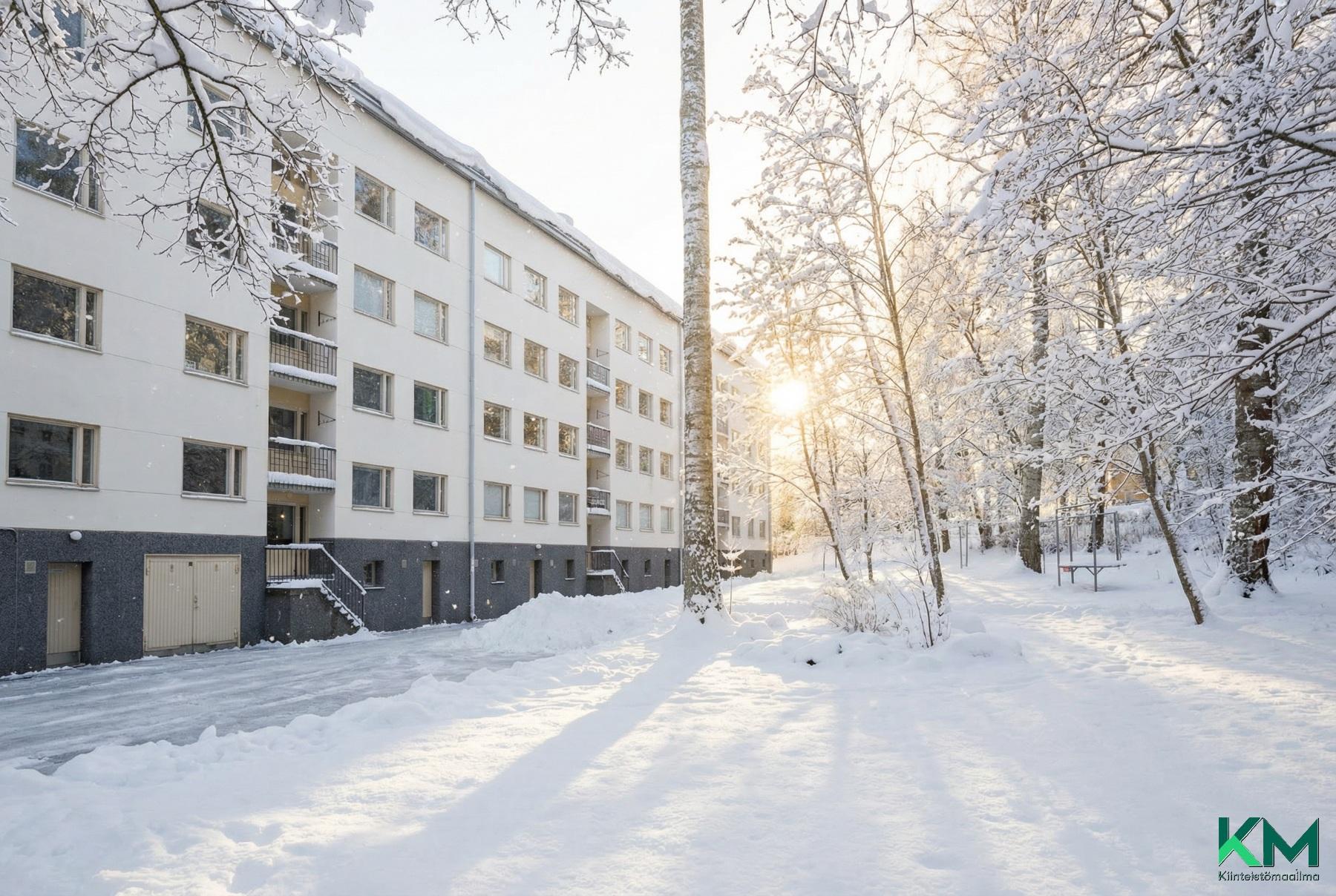 Taloyhtiön takapihaa