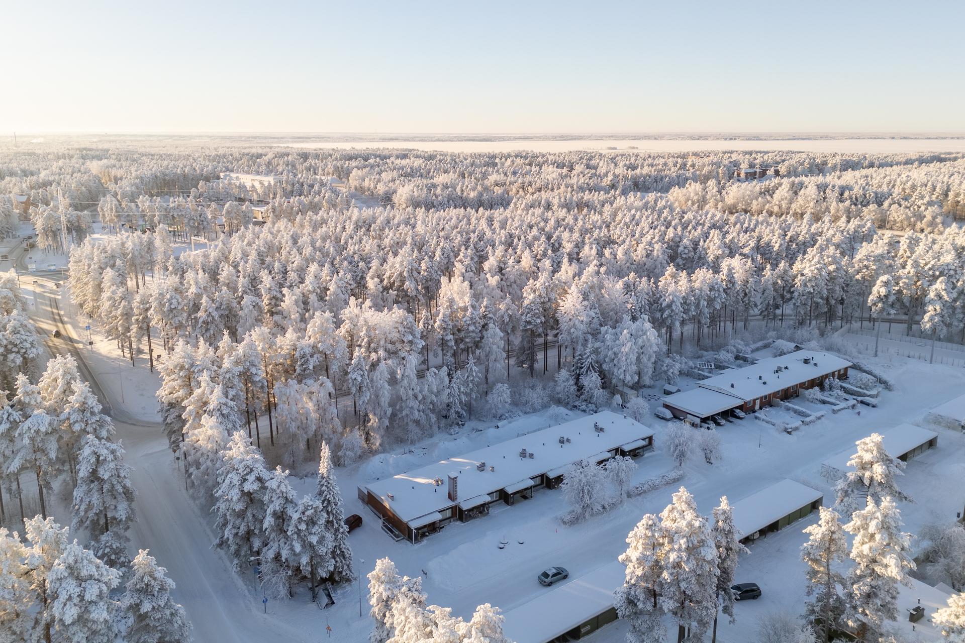 Haulitie 1, Kaukovainio, Oulu