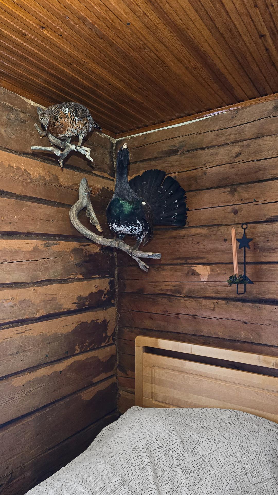 Hirsikehikon päältä on jo poistettu osin pinkopahvit