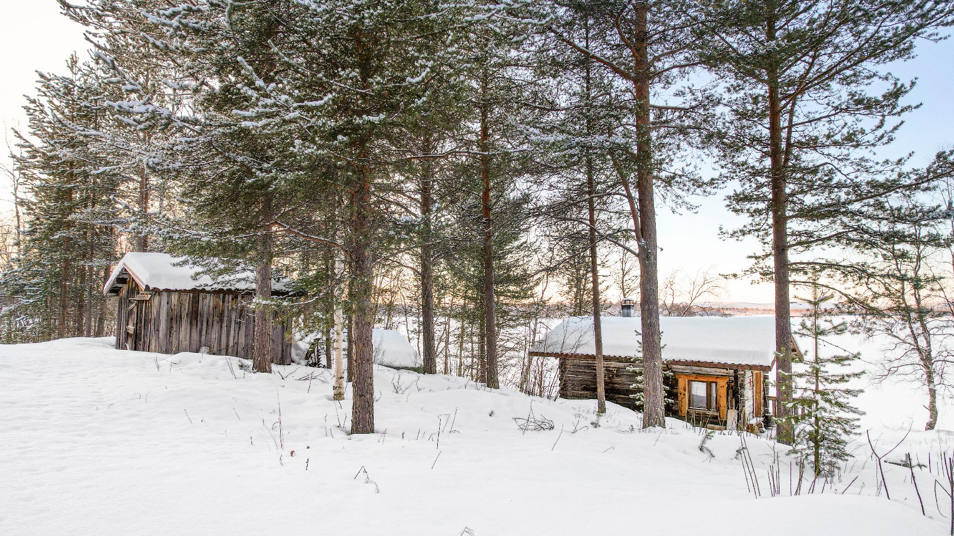 Ulkosauna ja vanha puuliiteri