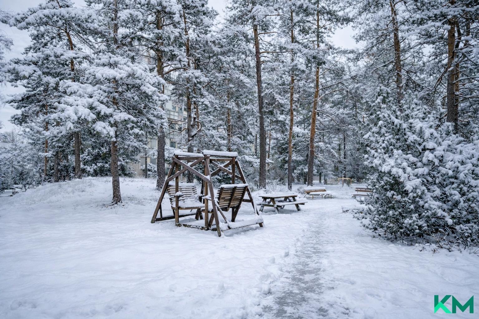 Taloyhtiön hoidettu viihtyisä piha.