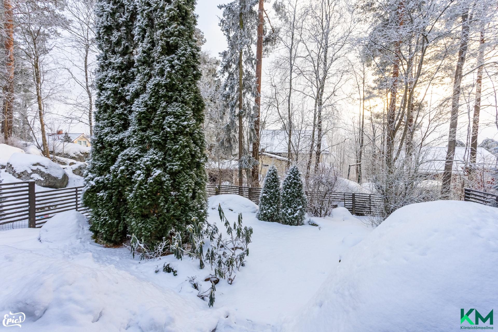 Muurahaispolku 1, Kankaantaka, Nokia