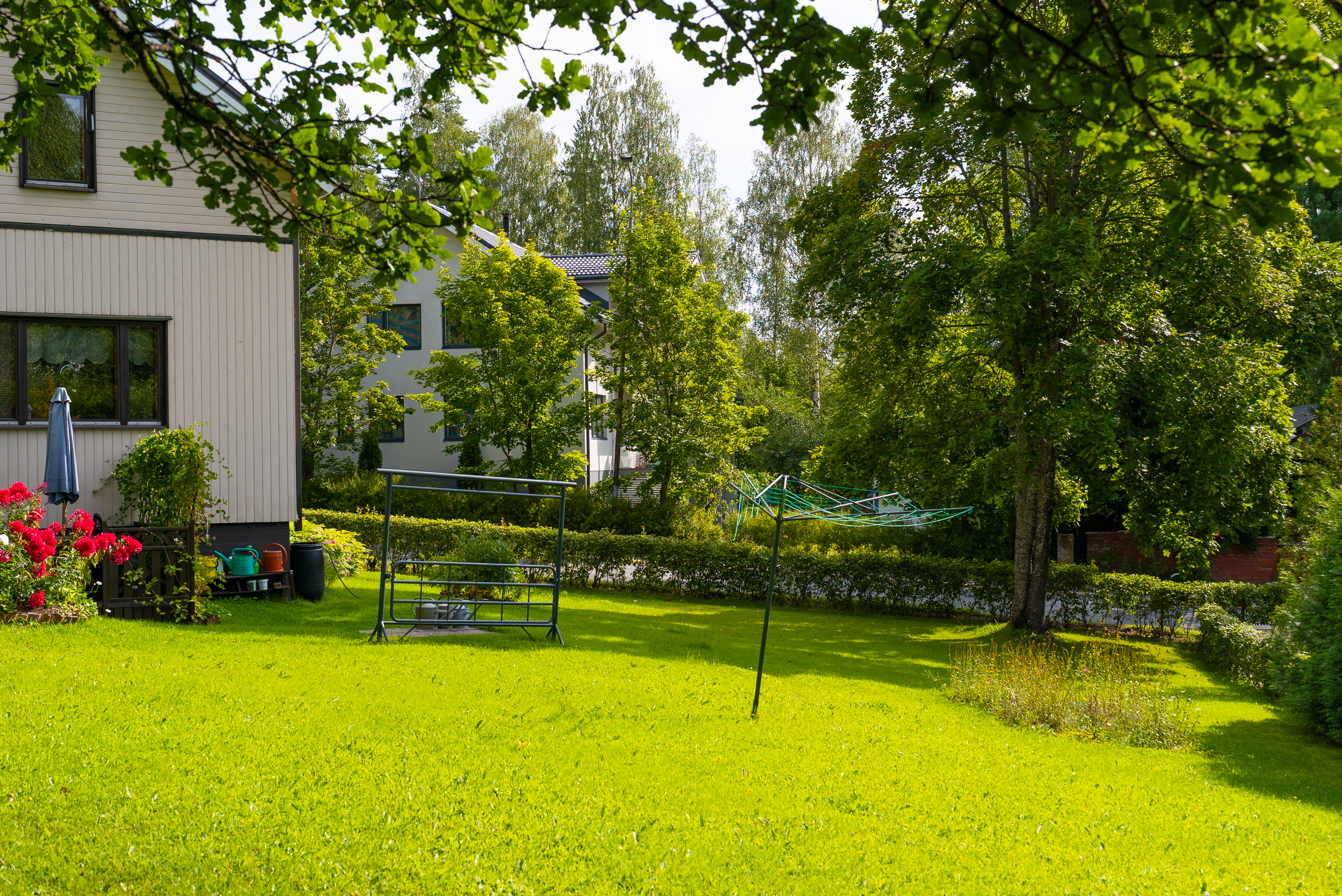 Pihaa