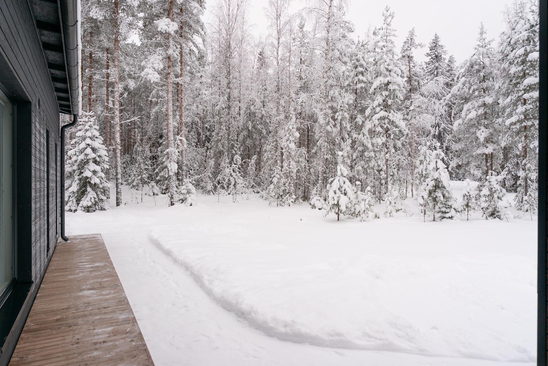 Pollenpolku 1, Kangashäkki, Äänekoski