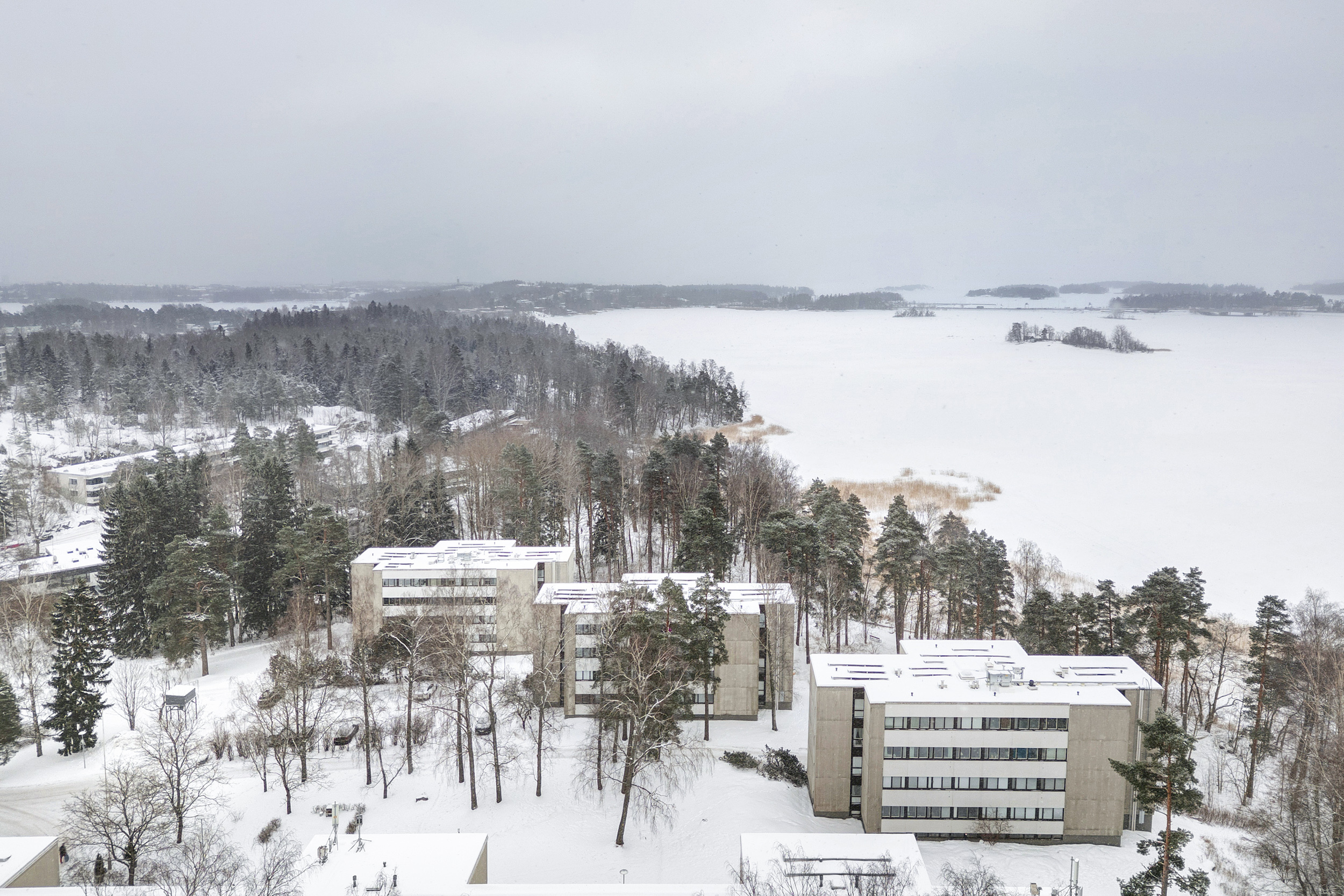 Upeaa Lehtisaarta ympäröi kaunis luonto ja tietysti meri