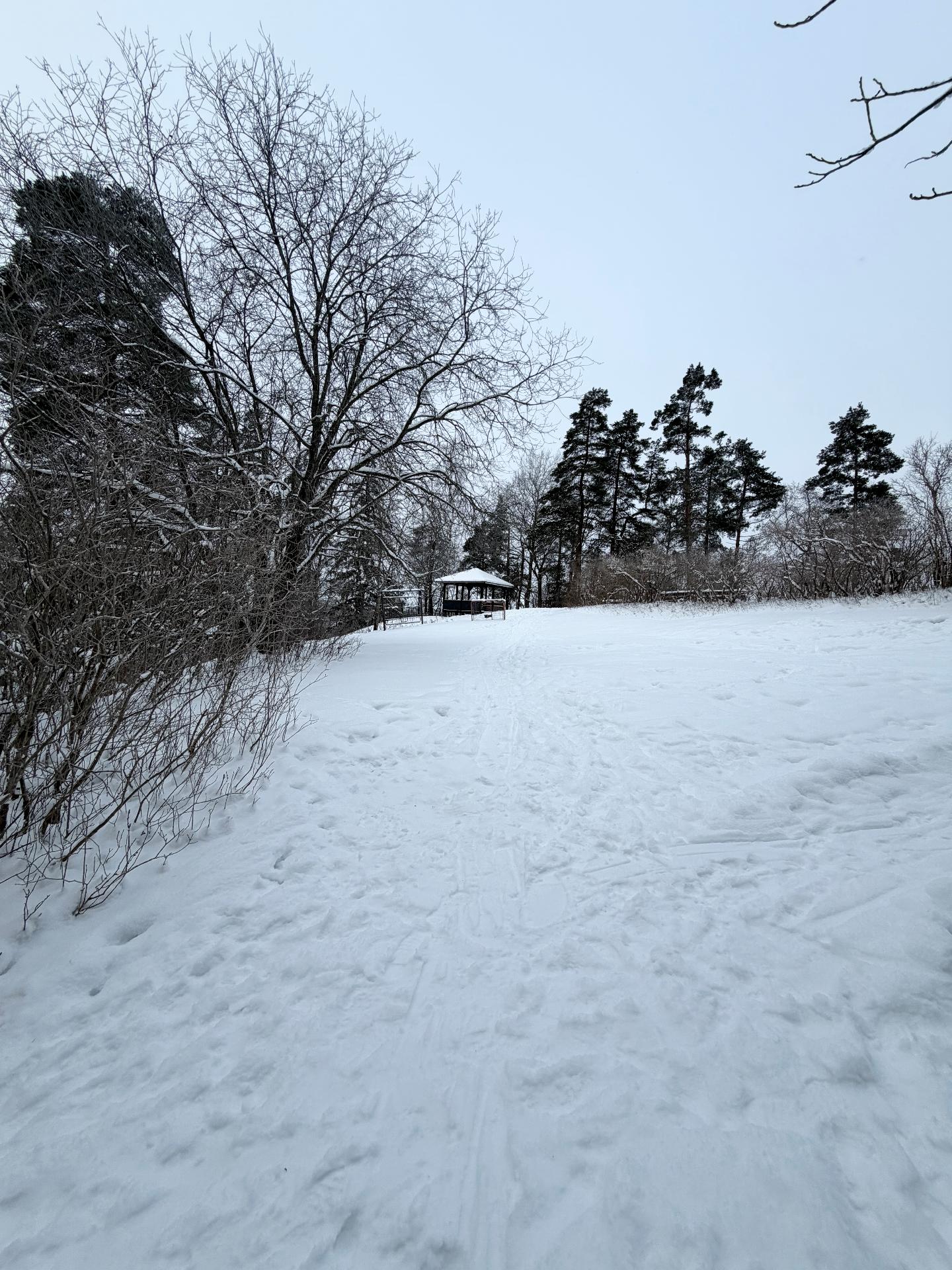 Silmukka 7, Kauniainen