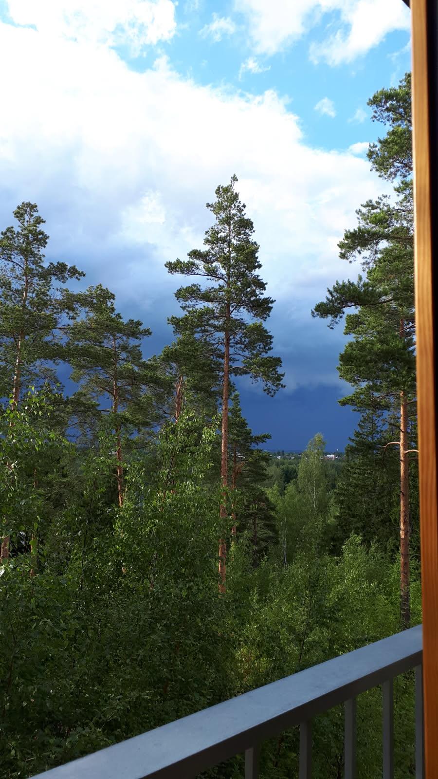 Näkymiä olohuoneesta