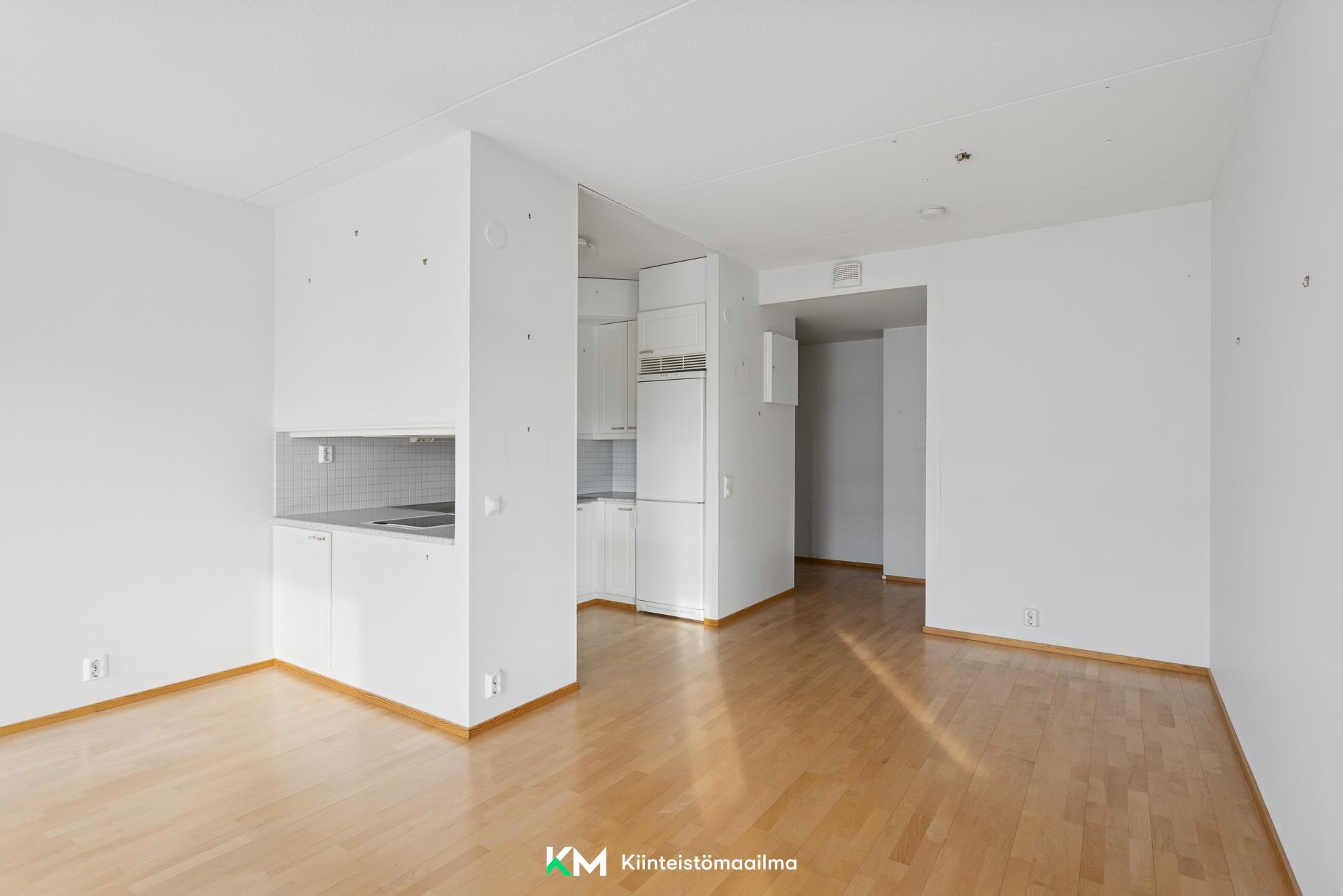 Olohuone ja keittiö