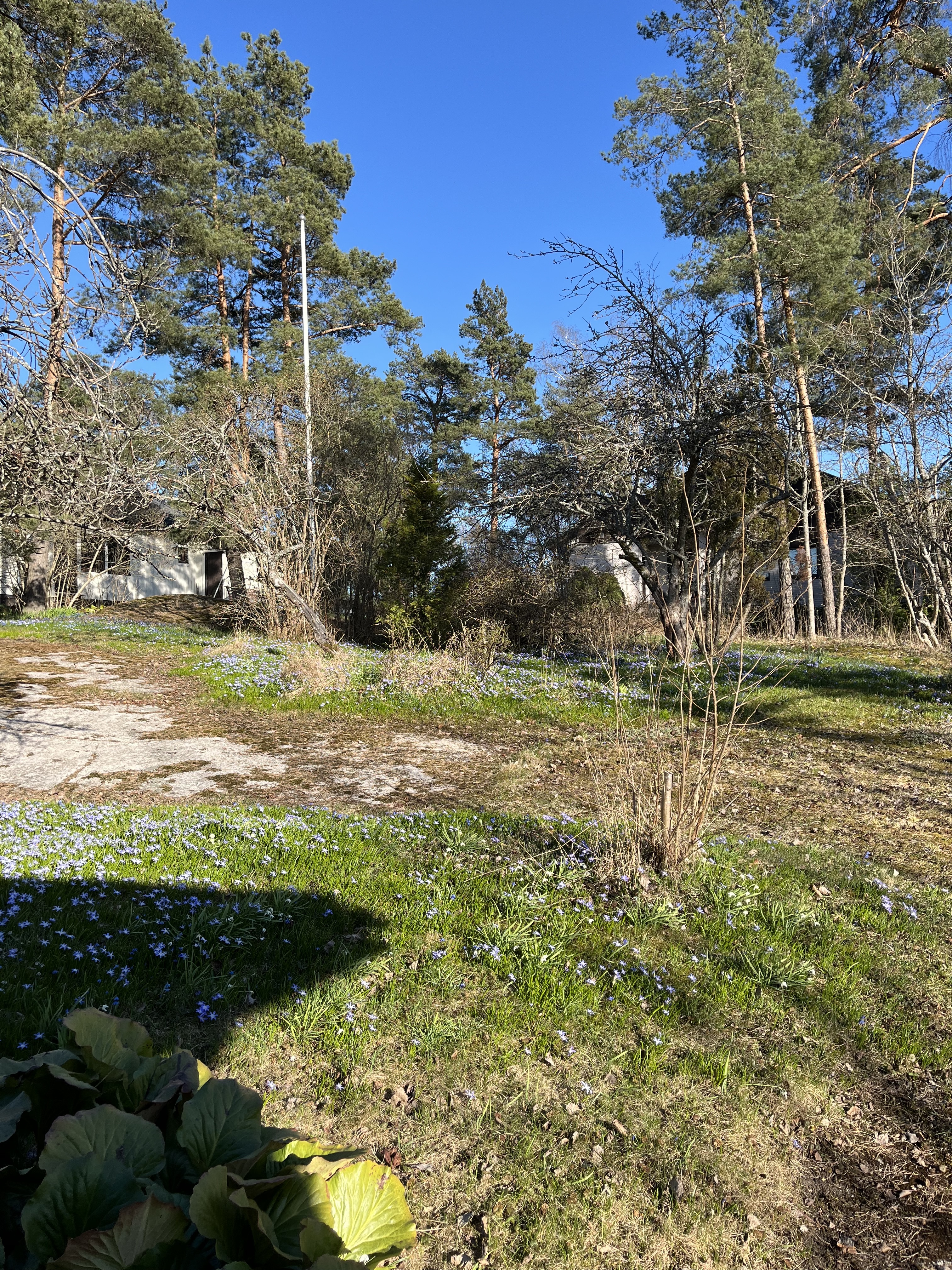 Riskutie 23, Vartiokylä, Helsinki