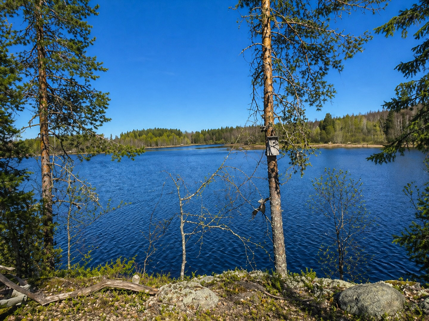Kärjenniementie 115, Orivesi