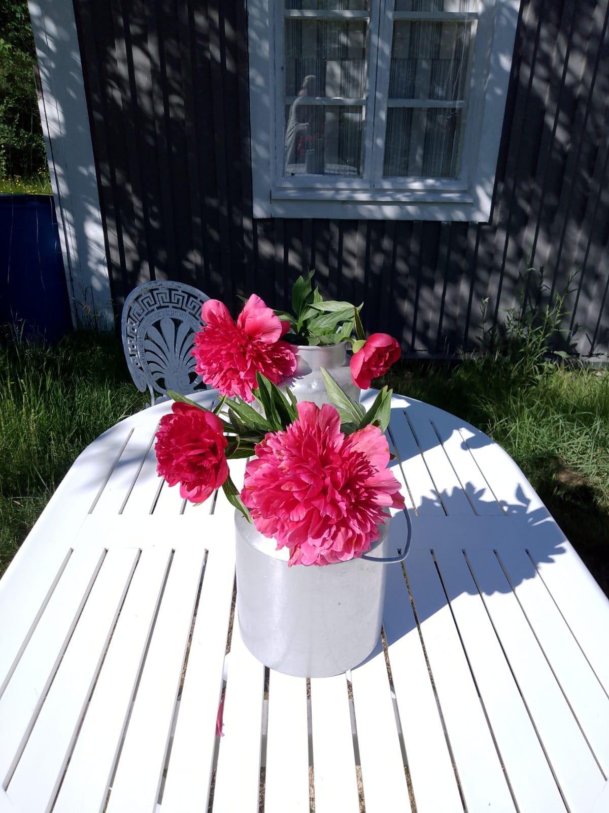 Asiakkaan omat kuvat - kundens egna bilder