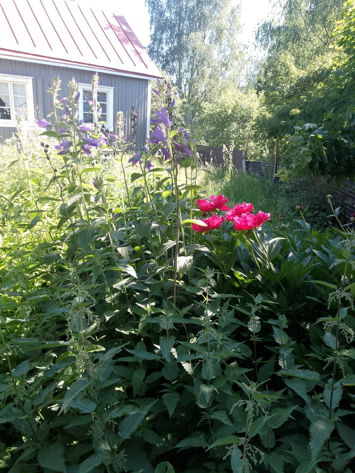 Asiakkaan omat kuvat - kundens egna bilder