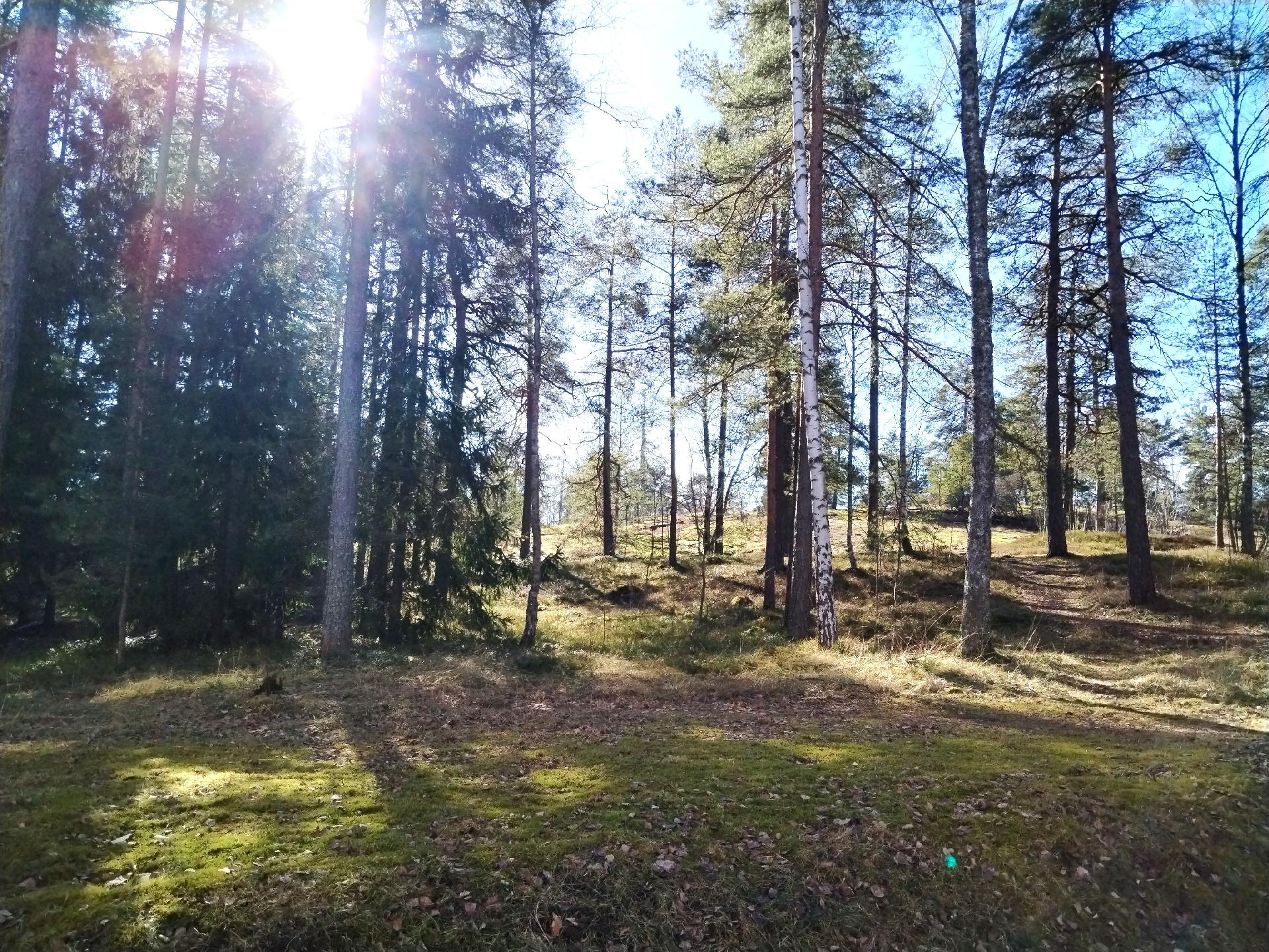 Neulapadontie 3, Myllypuro, Helsinki