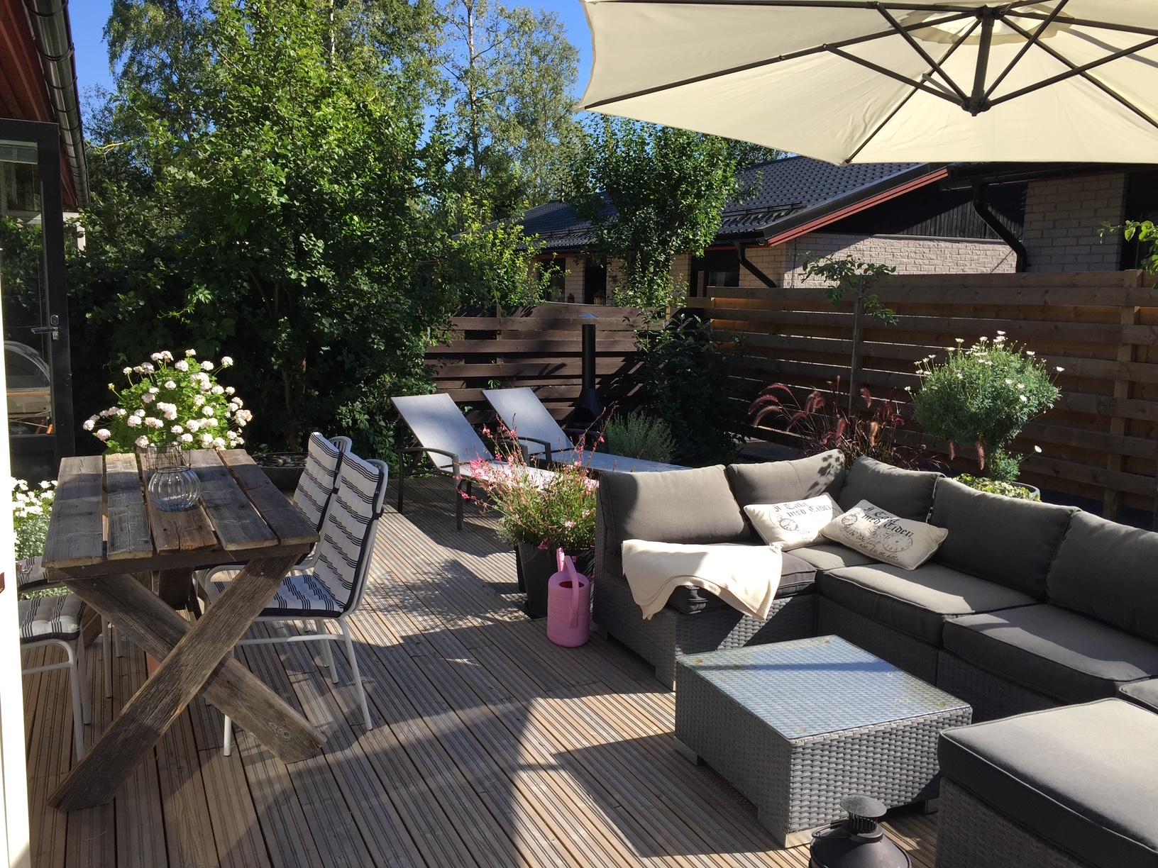 Myyjän ottamia kesäkuva 2025