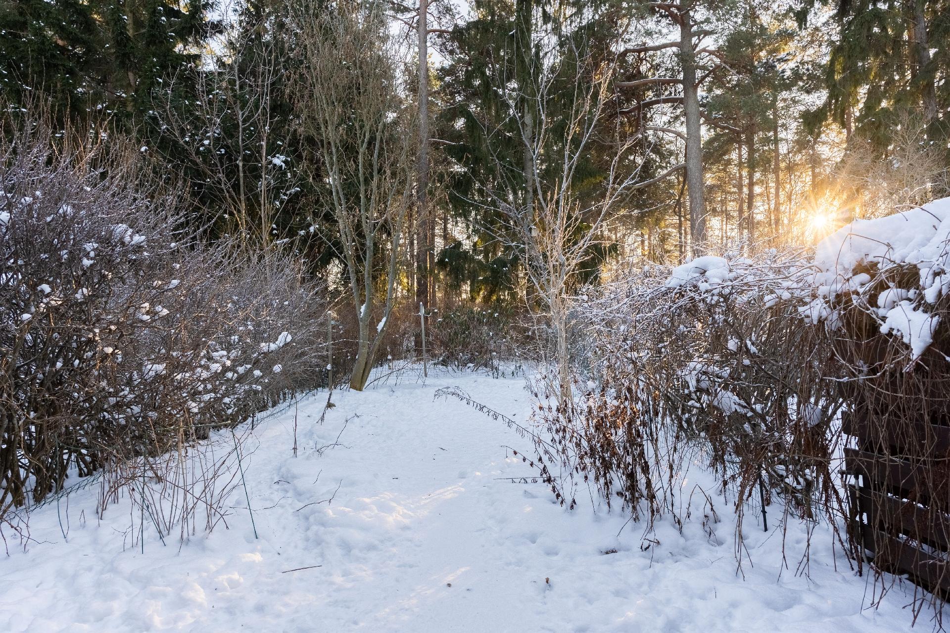 Paasitie 9, Tammisalo, Helsinki