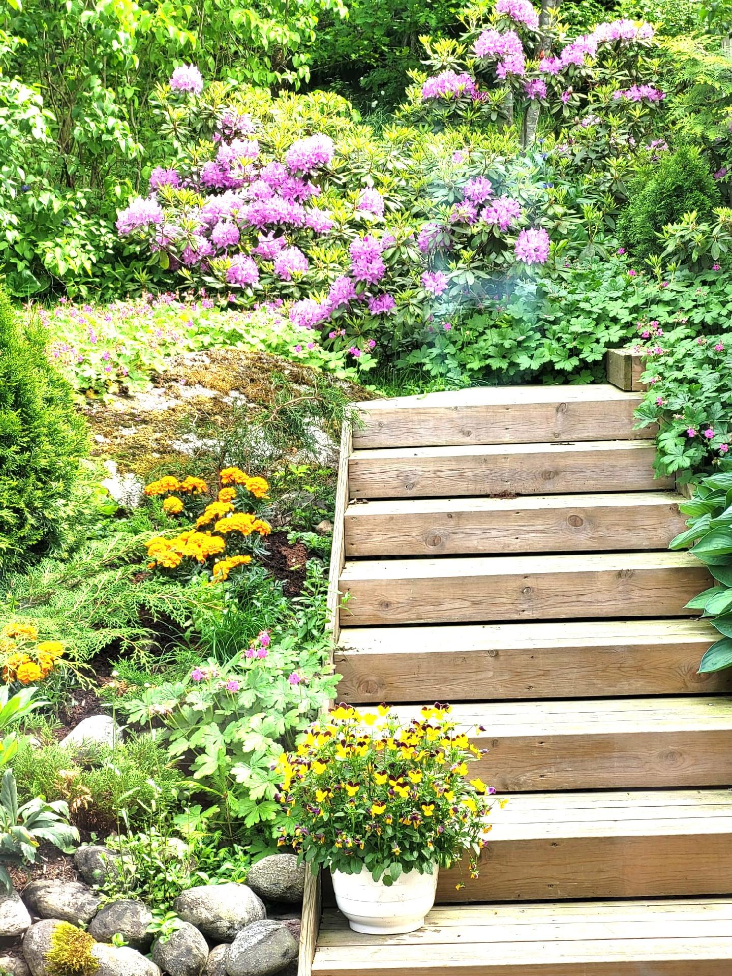 Viikatetie 3, Hämevaara, Vantaa