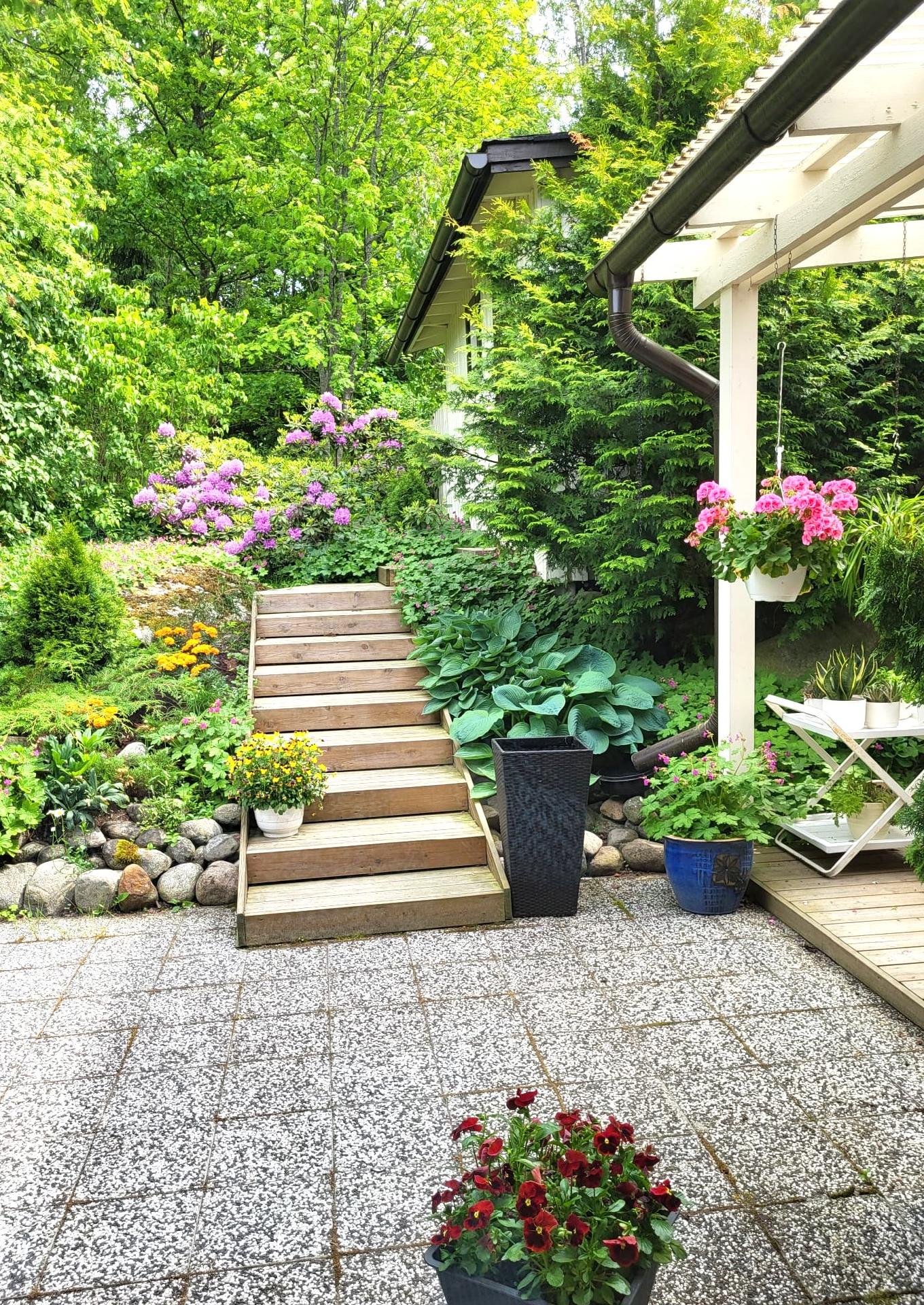 Takapiha näkymää kesällä