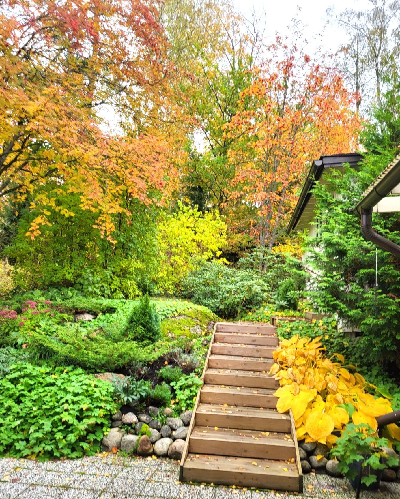 Takapihanäkymää syksyllä