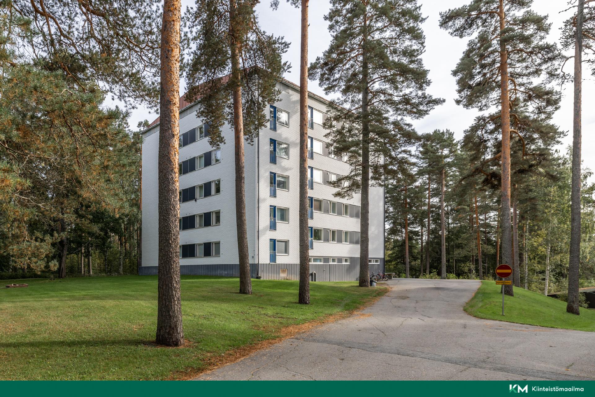 Karjalammentie 1, Moisio, Mikkeli