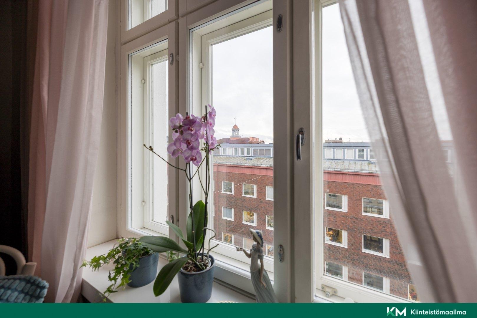 Olohuoneen ikkunanäkymää