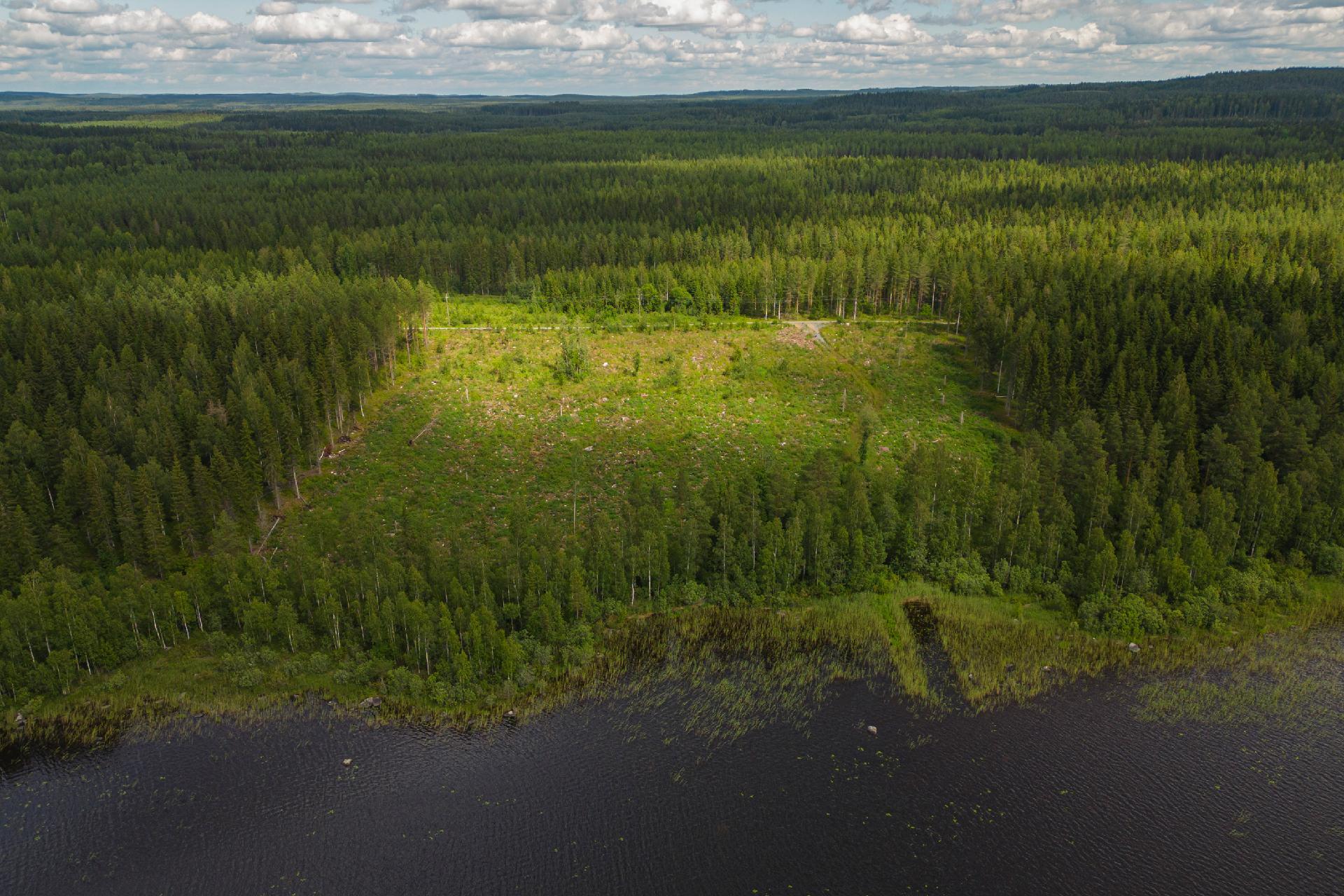 Kuikkaluodontie 106, Karttula, Kuopio