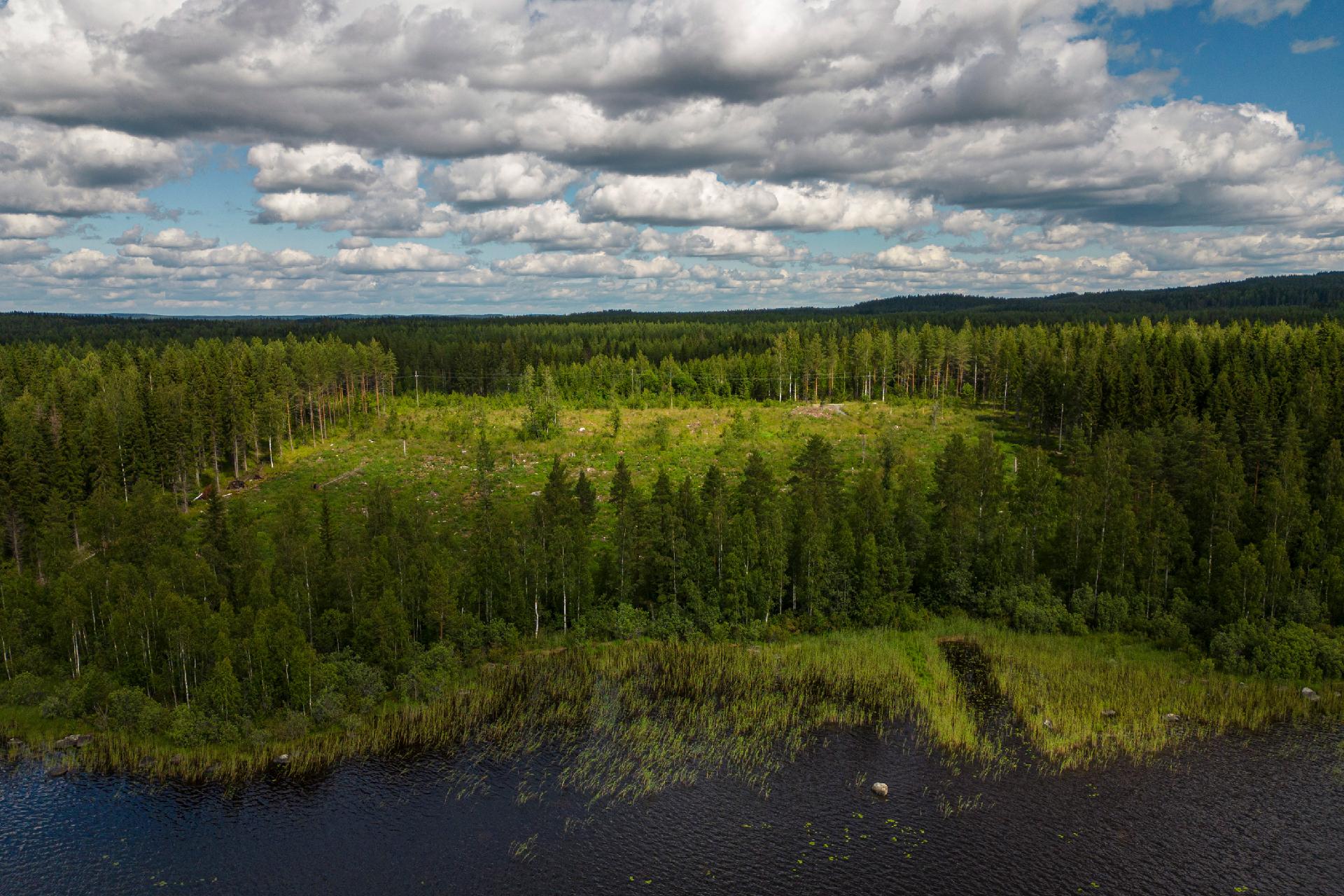 Kuikkaluodontie 106, Karttula, Kuopio