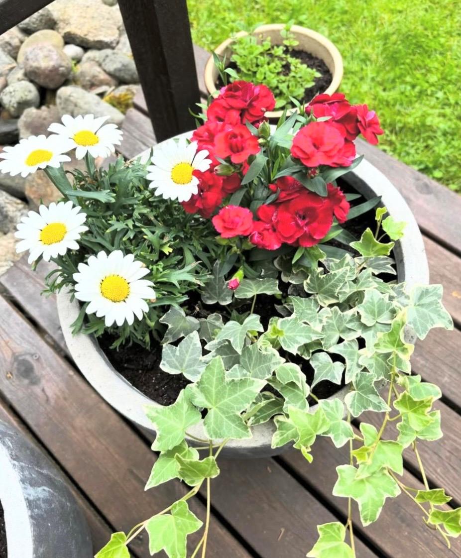 Sinirinnankatu 26, Launiala, Mikkeli