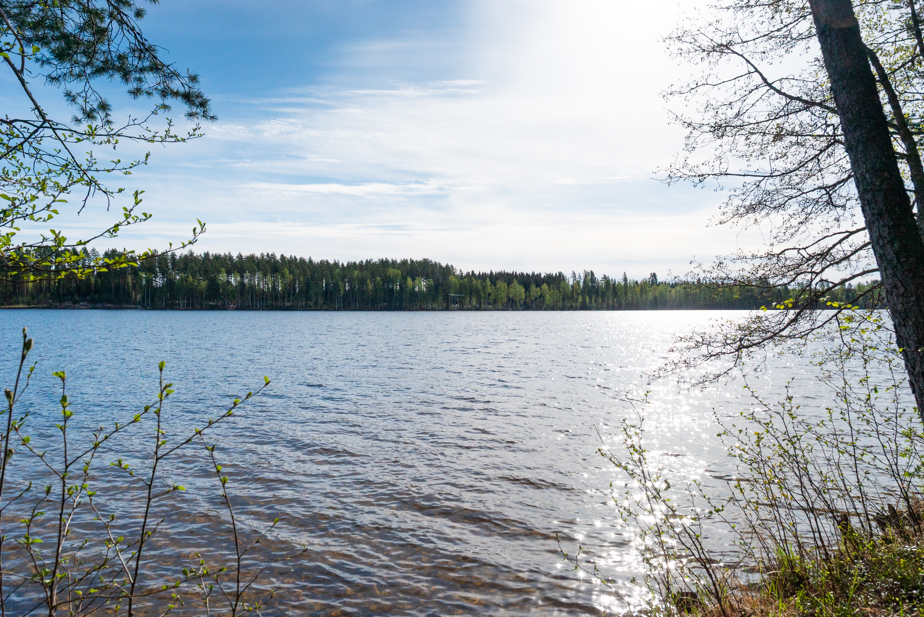 Sauvoniementie 220A, Sauvomäki, Hankasalmi