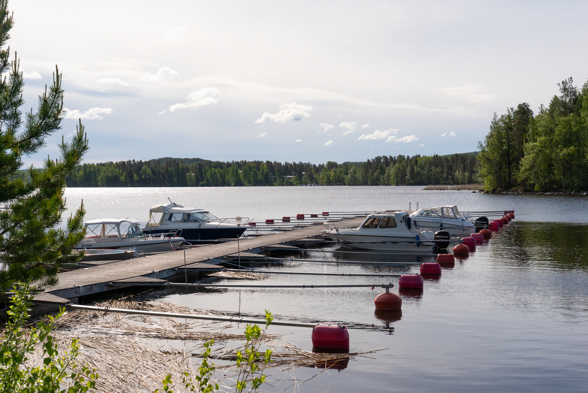 Karkaussaari 8, Jyväskylä