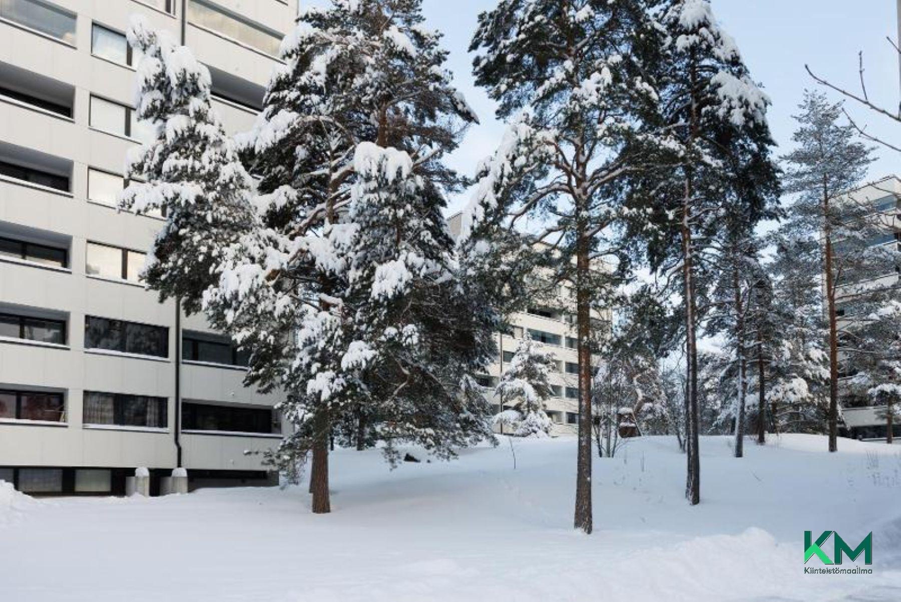 Taloyhtiön sisäpihaa 