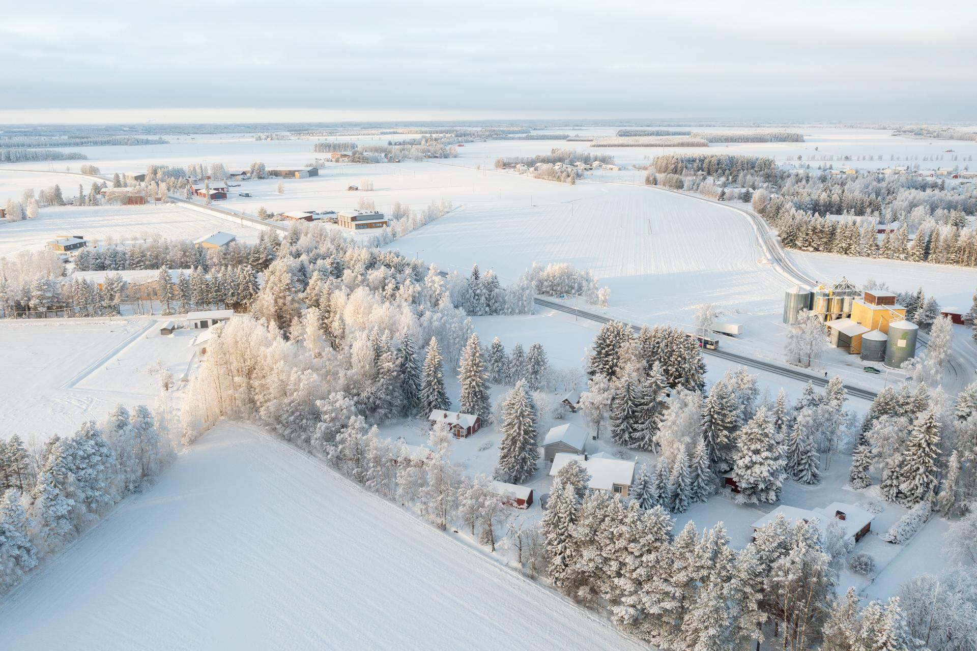 Lautamiehentie 6, Tyrnävä, Tyrnävä