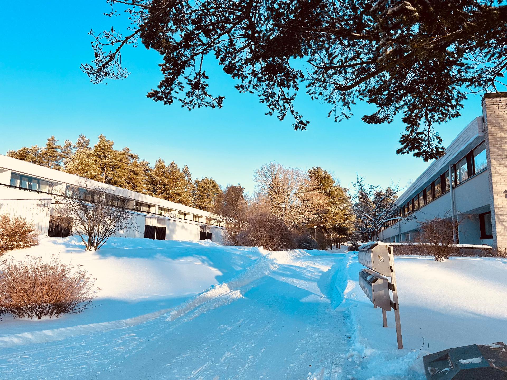 valtava, lähes 3 hehtaarin oma tontti