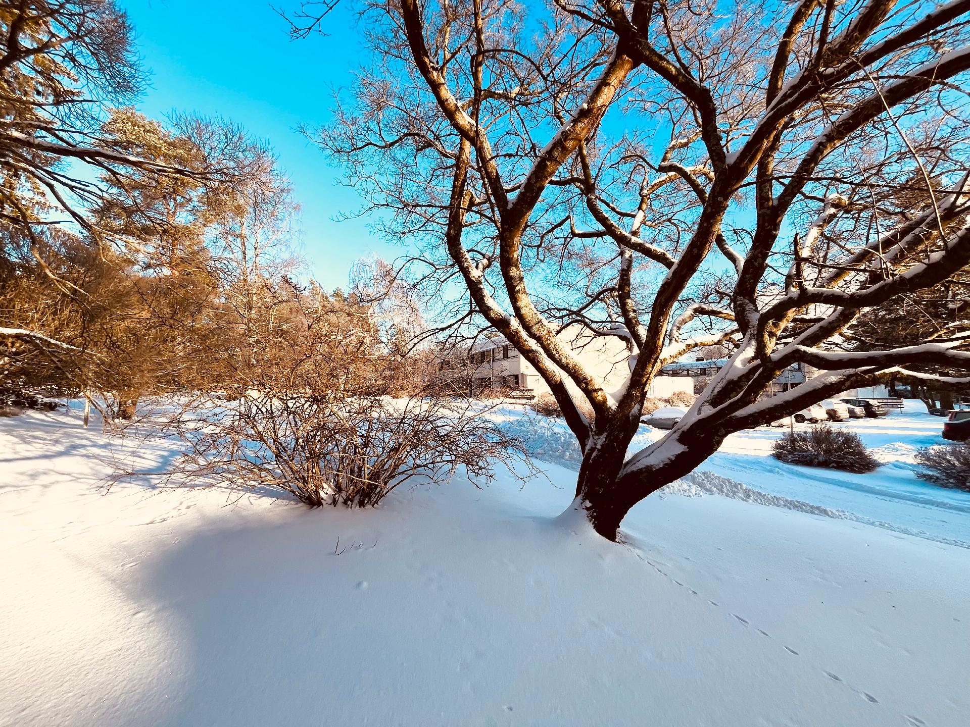 Porslahdentie 2, Vuosaari, Helsinki