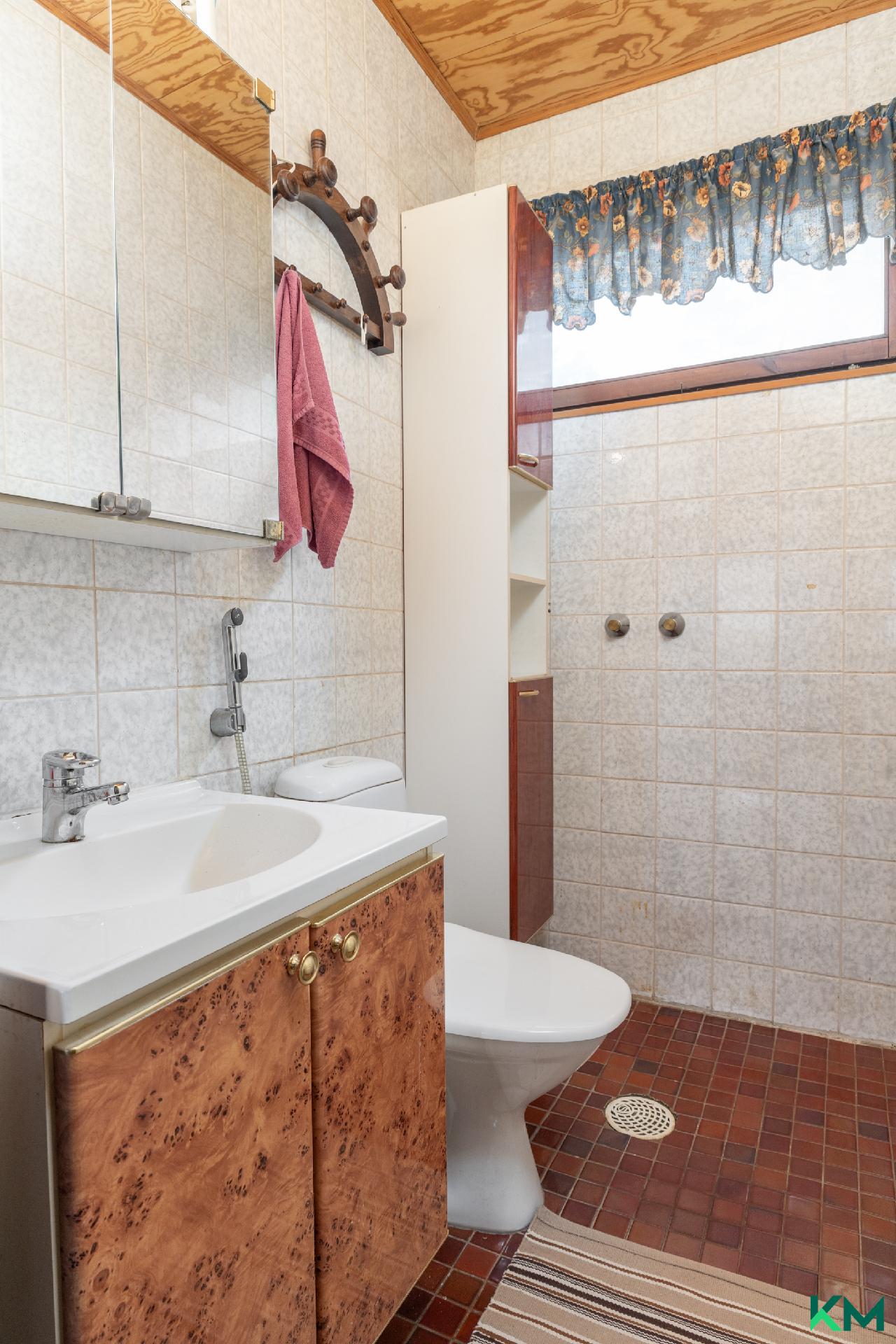 Yläkerran wc (suihkuvarauksella)