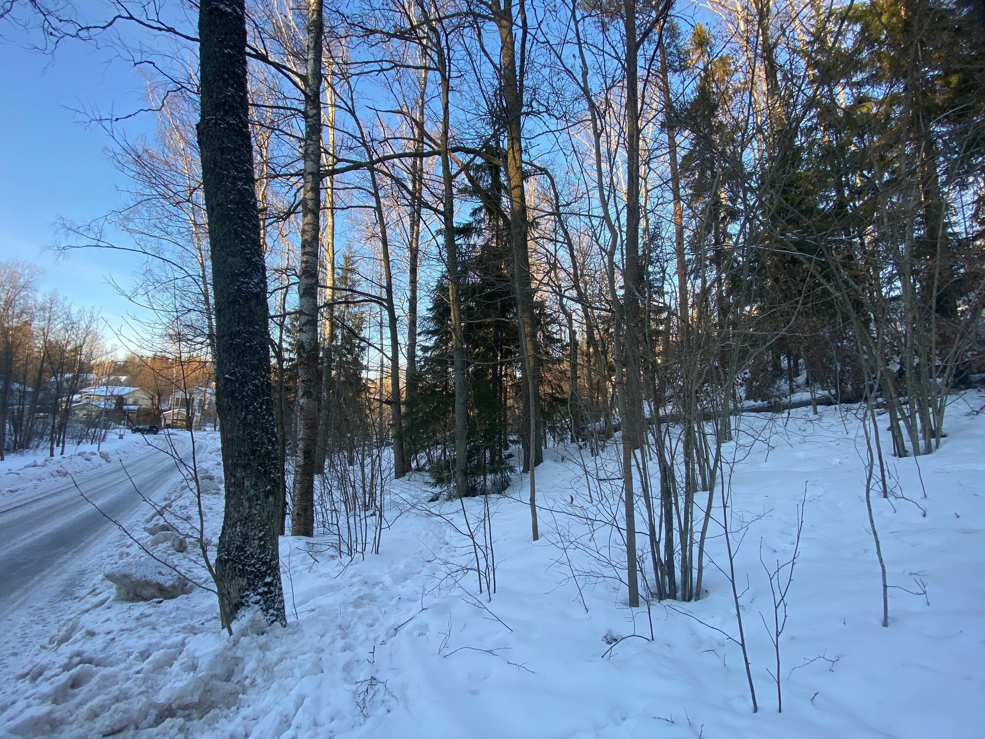 Lindstedtintie 19, Kauniainen