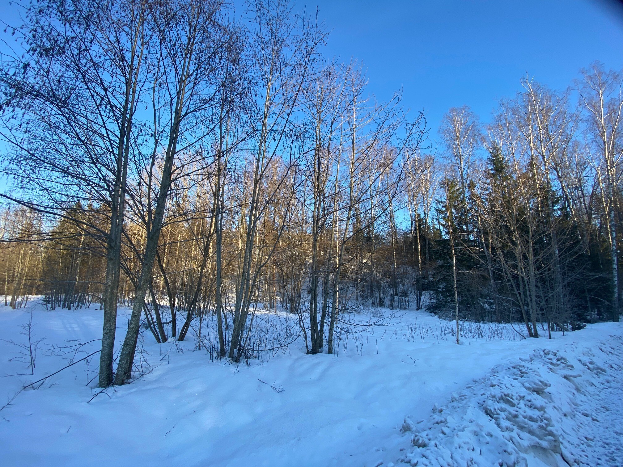 Lindstedtintie 19, Kauniainen