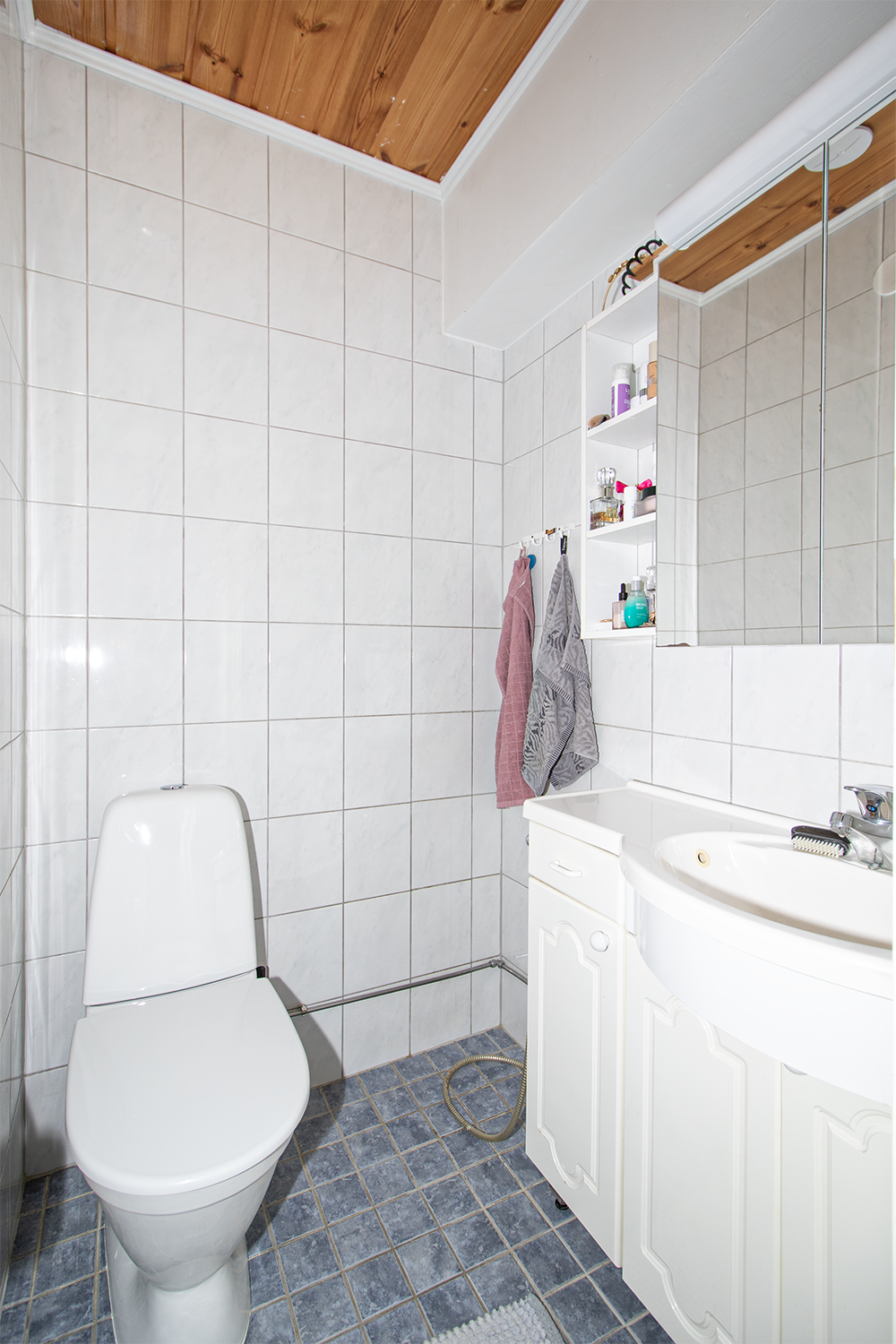 Erillinen wc