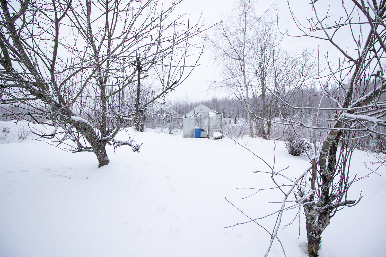 Erityistie 13, Karttula, Kuopio