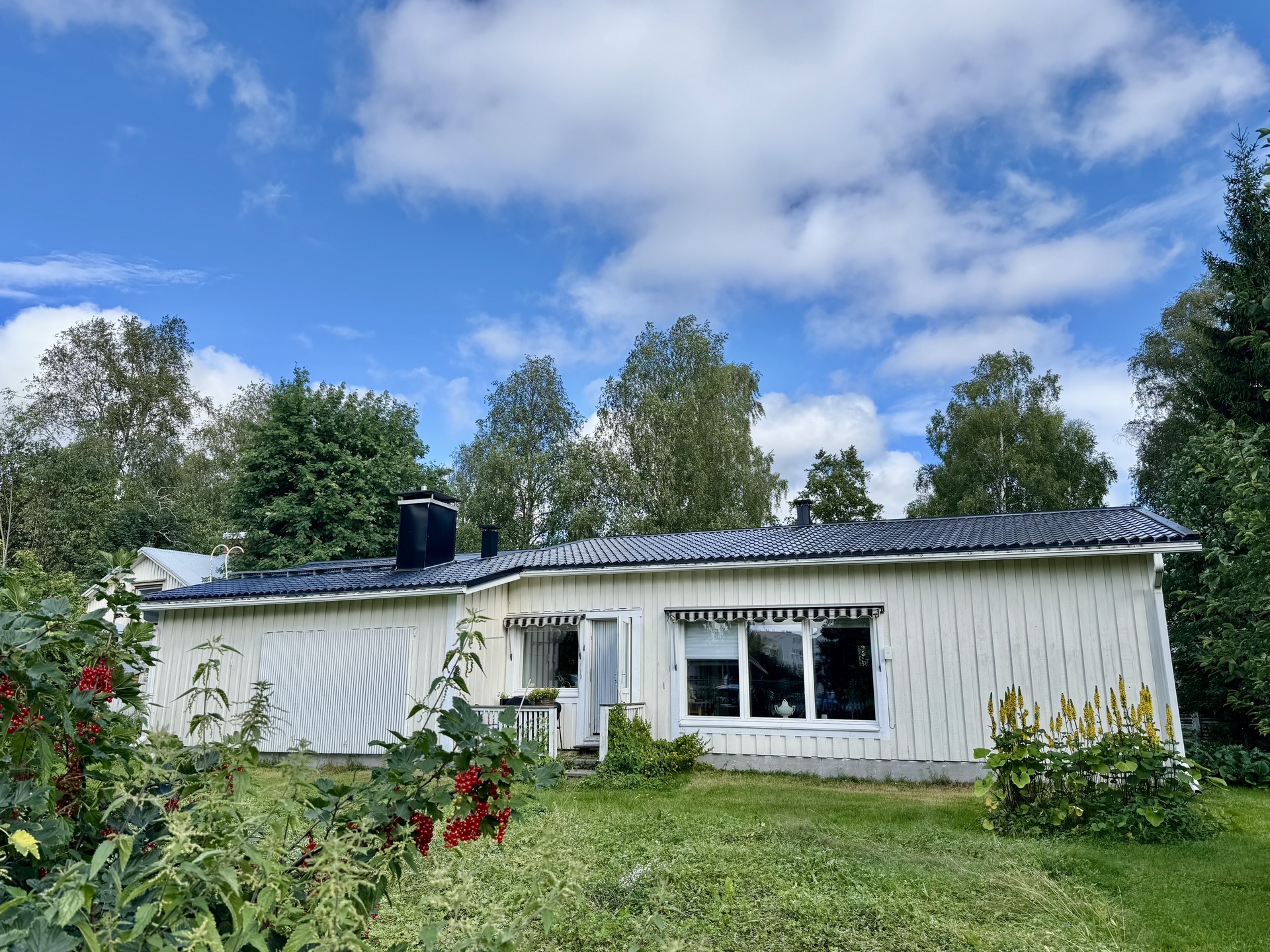 Elokuinen takapiha
