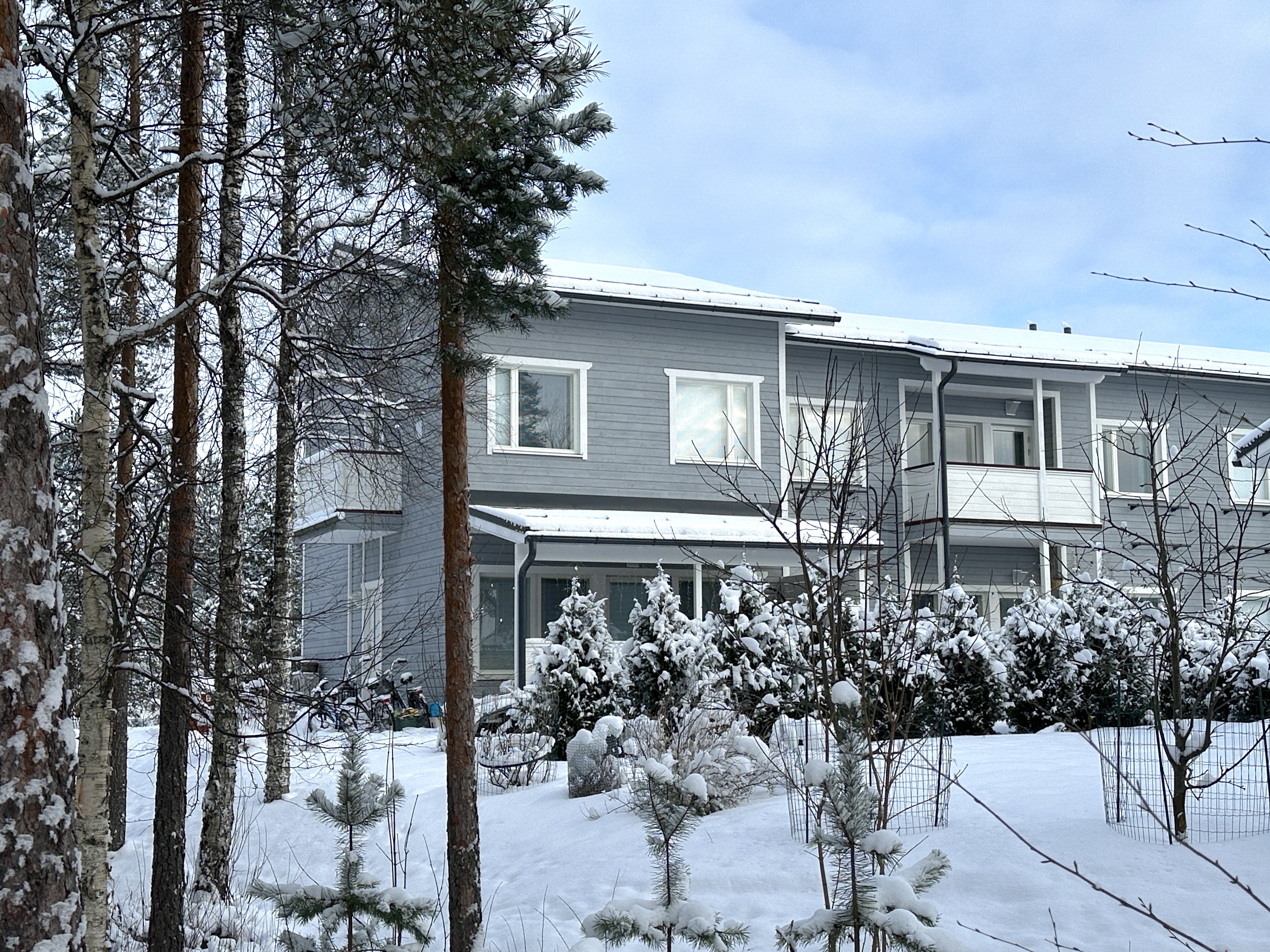 Collininkatu 3, Kärki, Seinäjoki