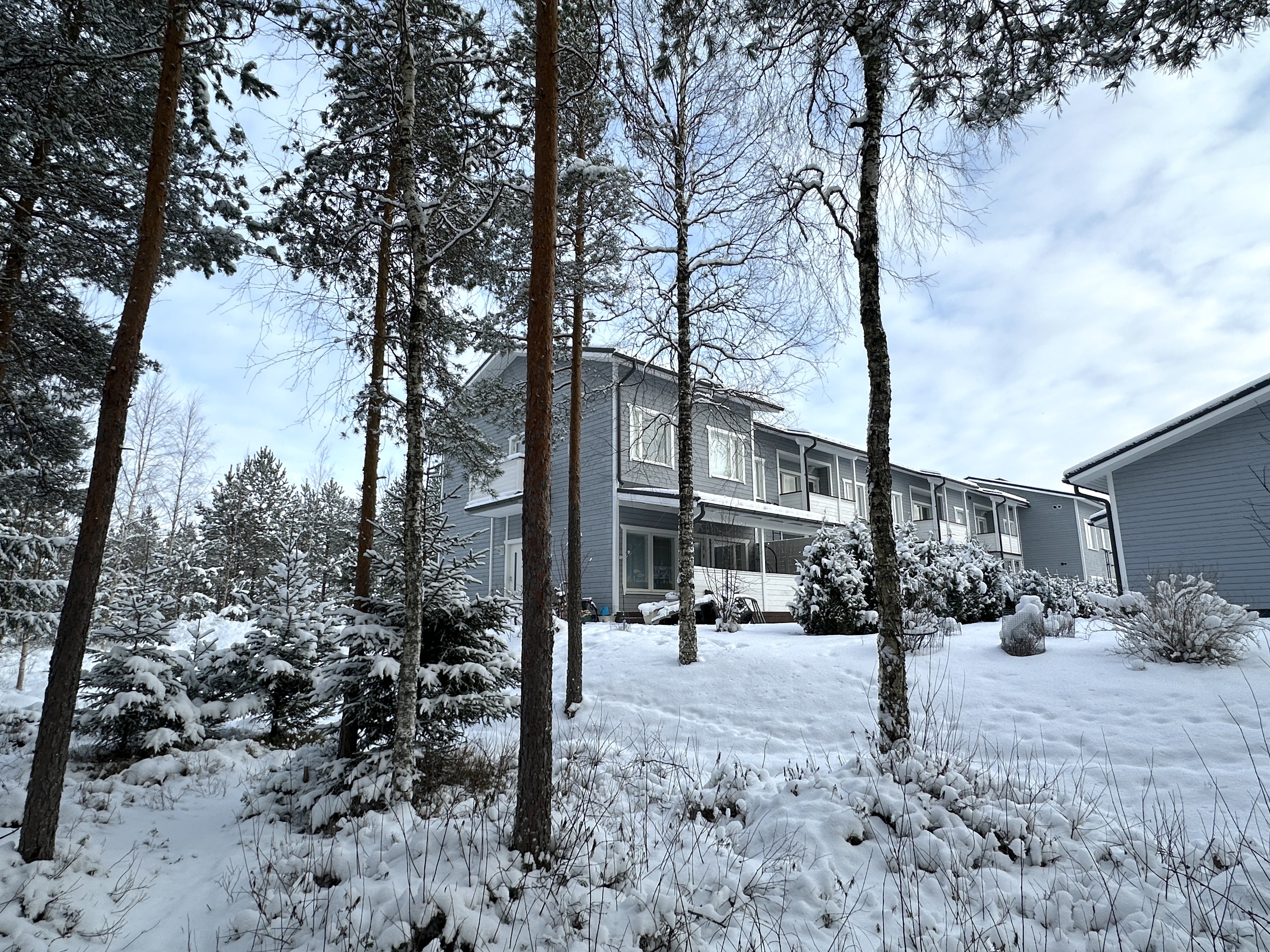 Collininkatu 3, Kärki, Seinäjoki