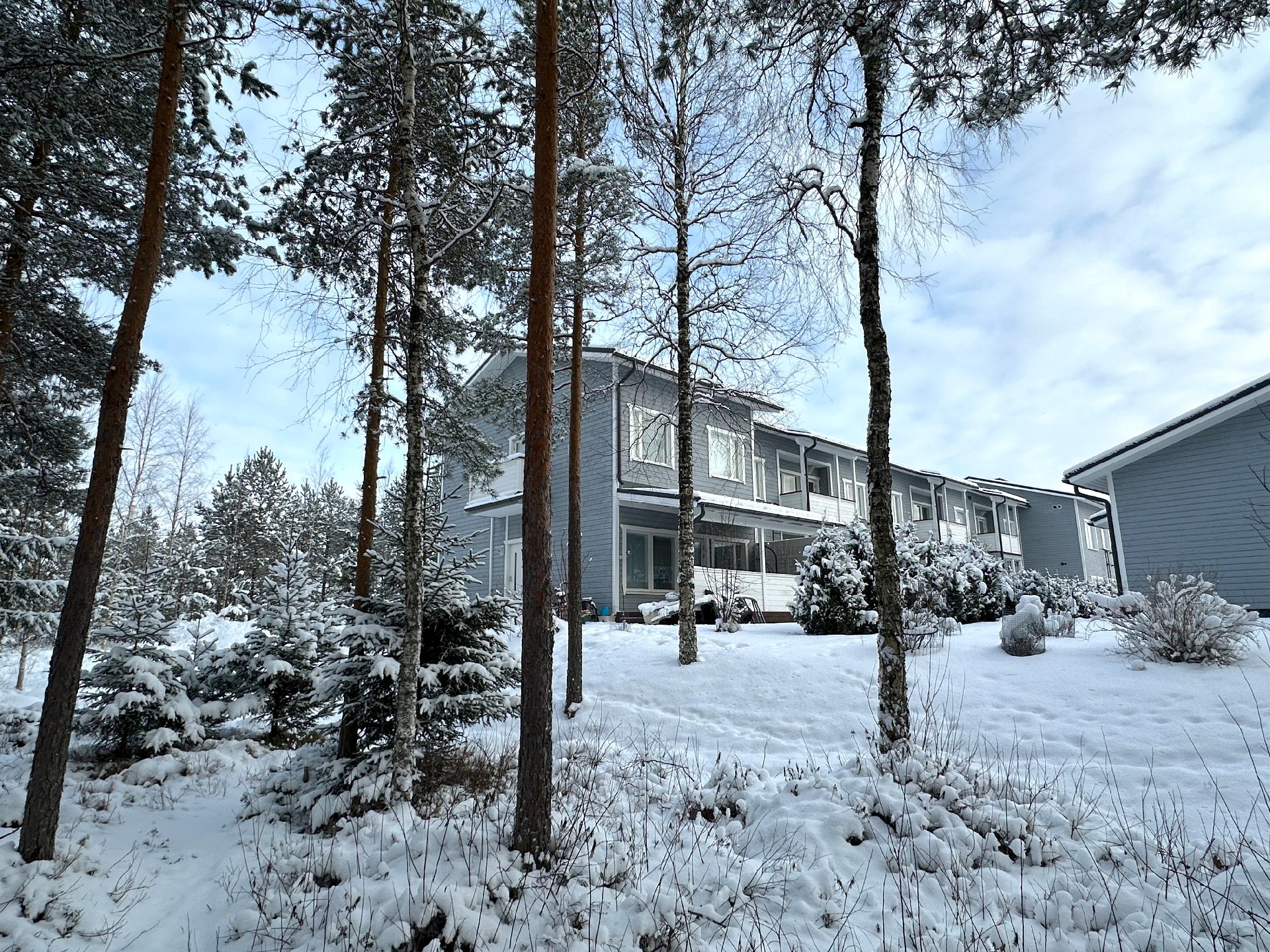 Collininkatu 3, Kärki, Seinäjoki